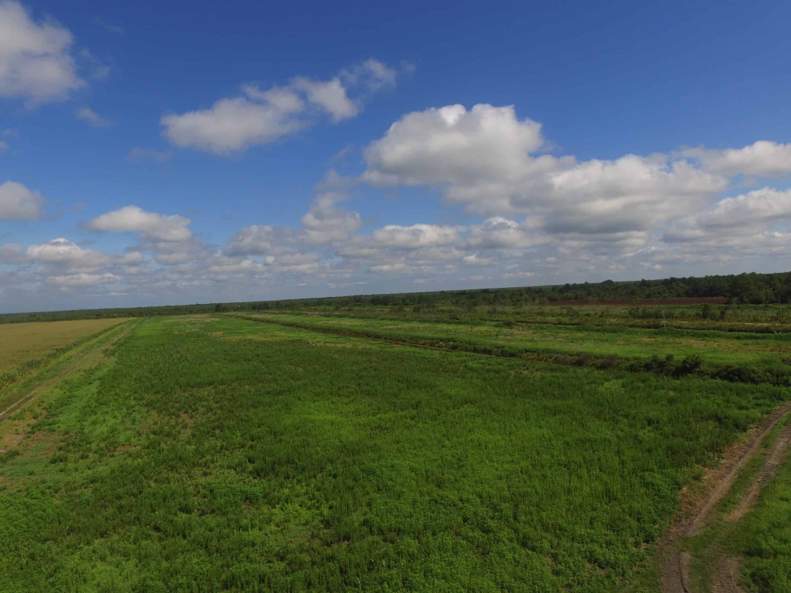 Wetland/Waterfowl Properties UC Hunting Properties