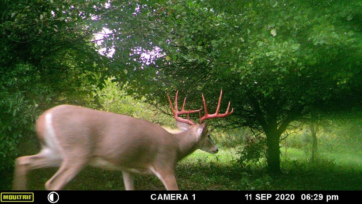 Hunting Land For Sale in Wisconsin Hunting Properties for sale in