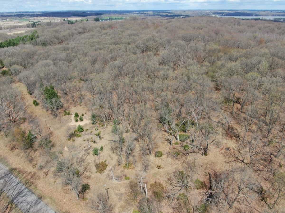 Columbia Hunting Land UC Hunting Properties