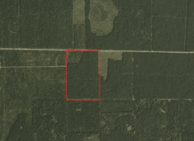 Town of Rome 60 acre timber lot for sale in Adams County WI