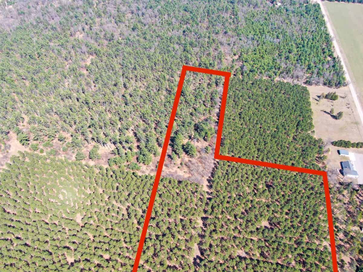 Town of Big Flats 21.924 acre timber lot for sale in Adams County WI.