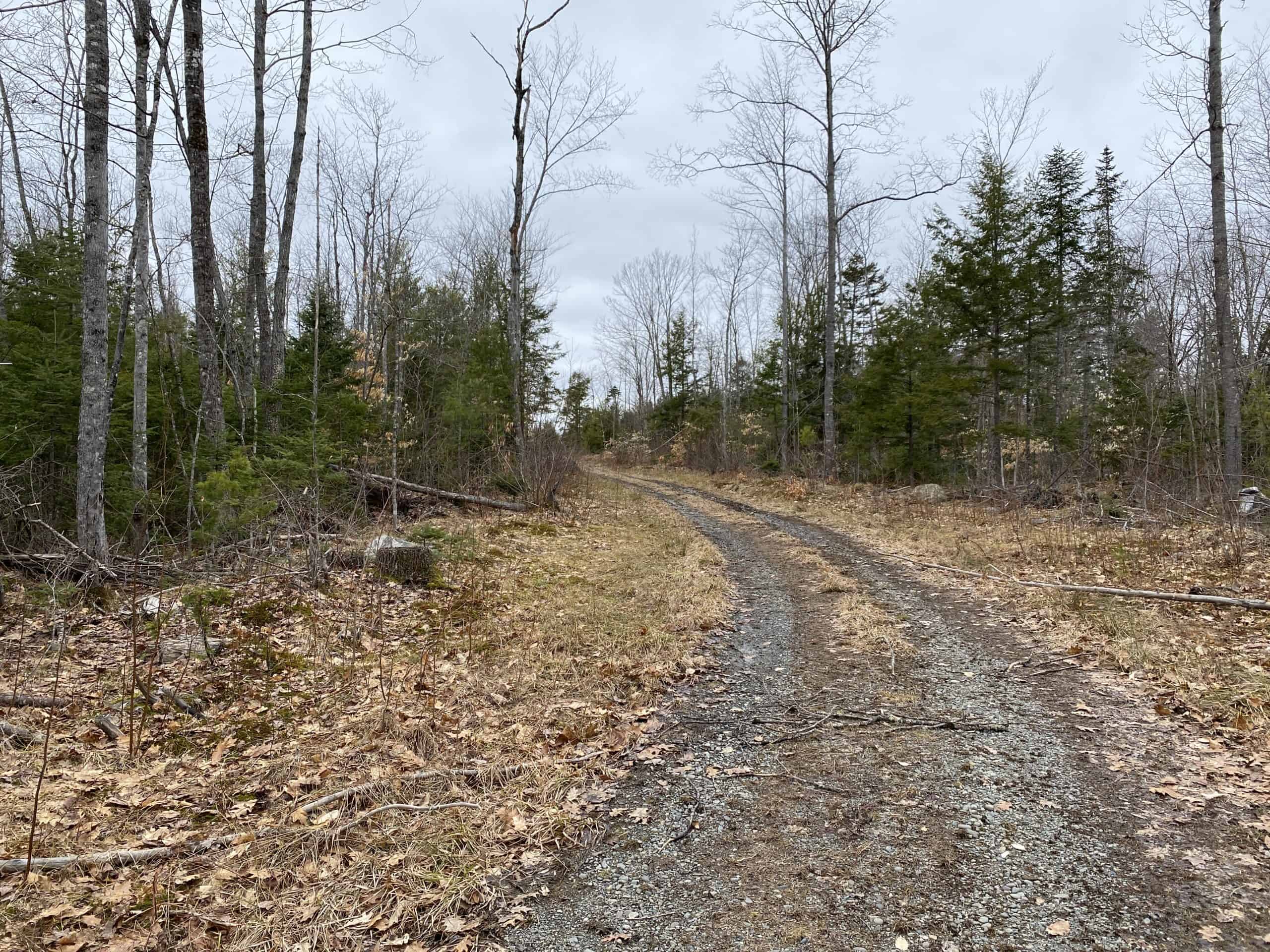 Hunting Land For Sale in Maine Hunting Properties for sale in Maine