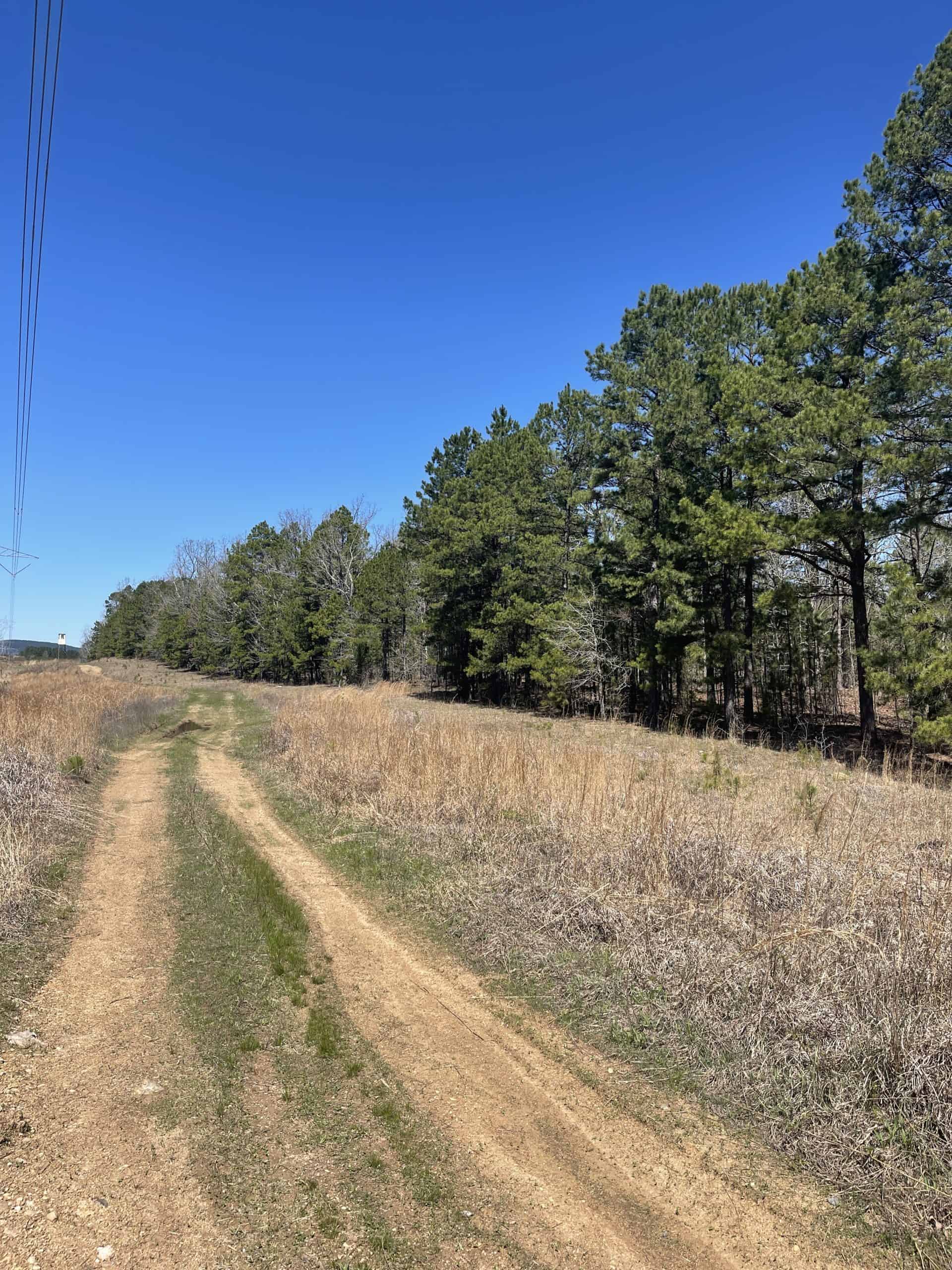 Arkansas Hunting Land UC Hunting Properties