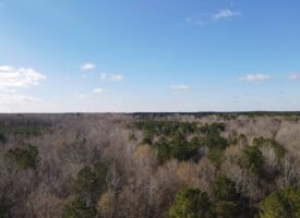 Undeveloped Hunting Land; Recreation Property near Little Rock, AR with Cane Creek