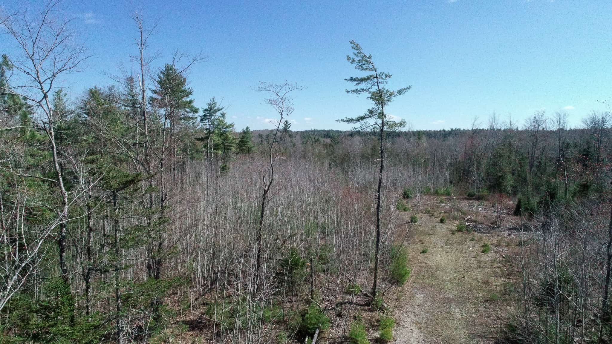 Hunting Land For Sale in Maine Hunting Properties for sale in Maine