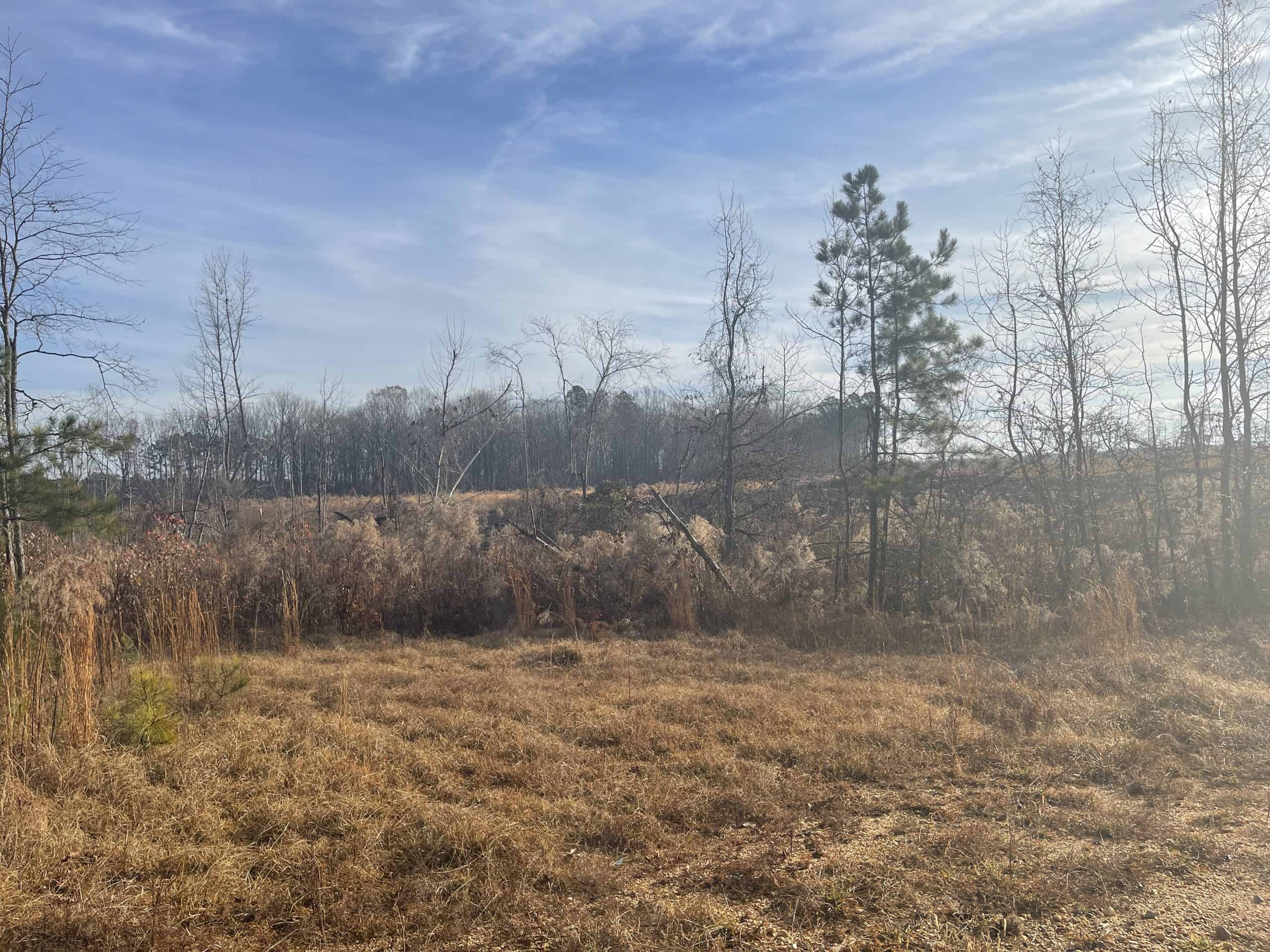 Arkansas Hunting Land UC Hunting Properties