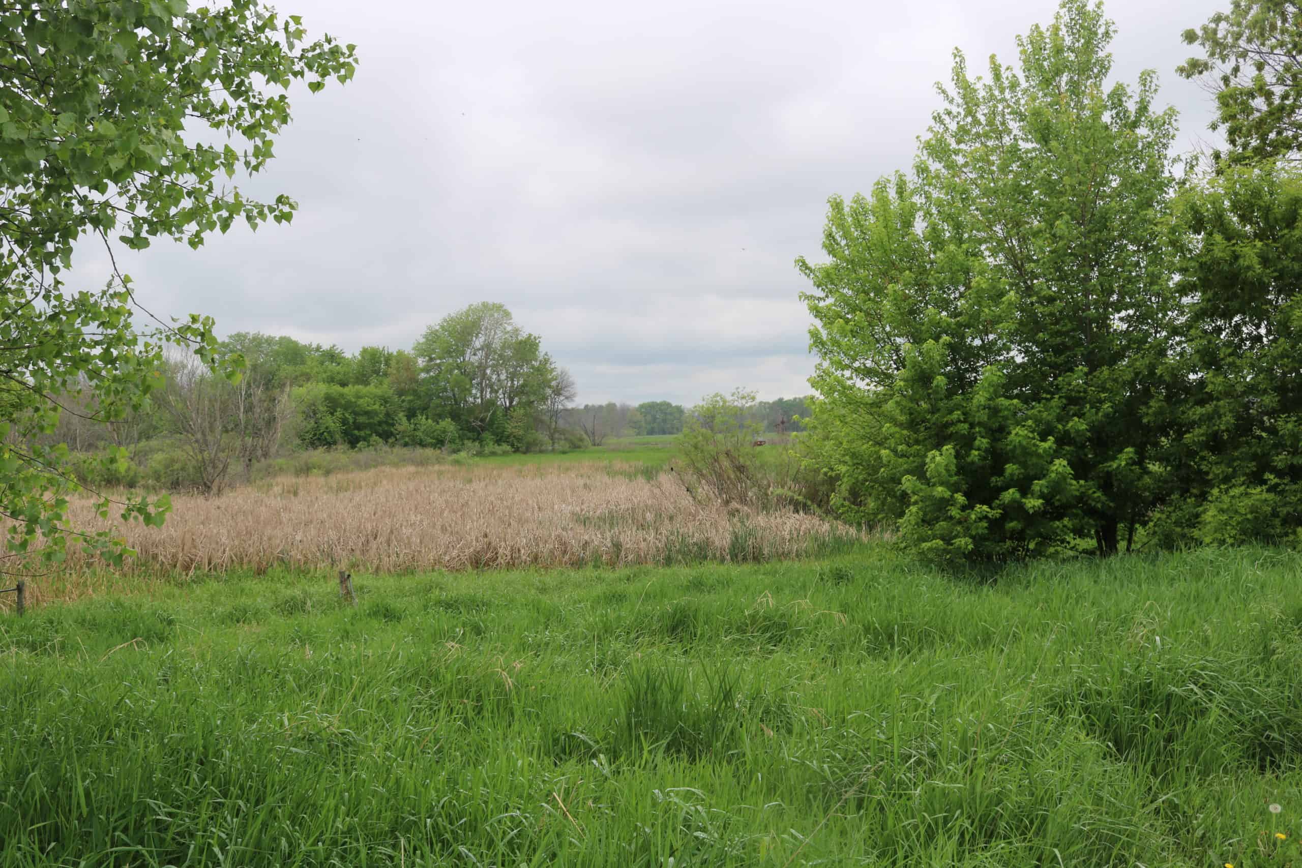 Hunting Land For Sale in Wisconsin Hunting Properties for sale in