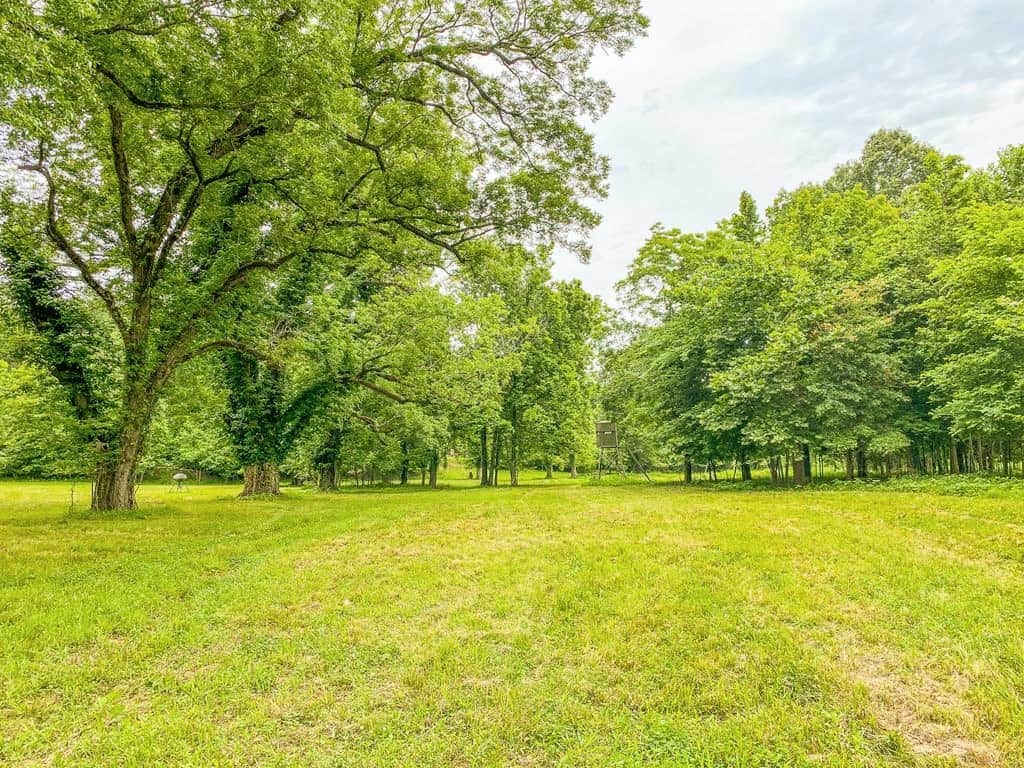 Hunting Land For Sale in Mississippi Hunting Properties for sale in