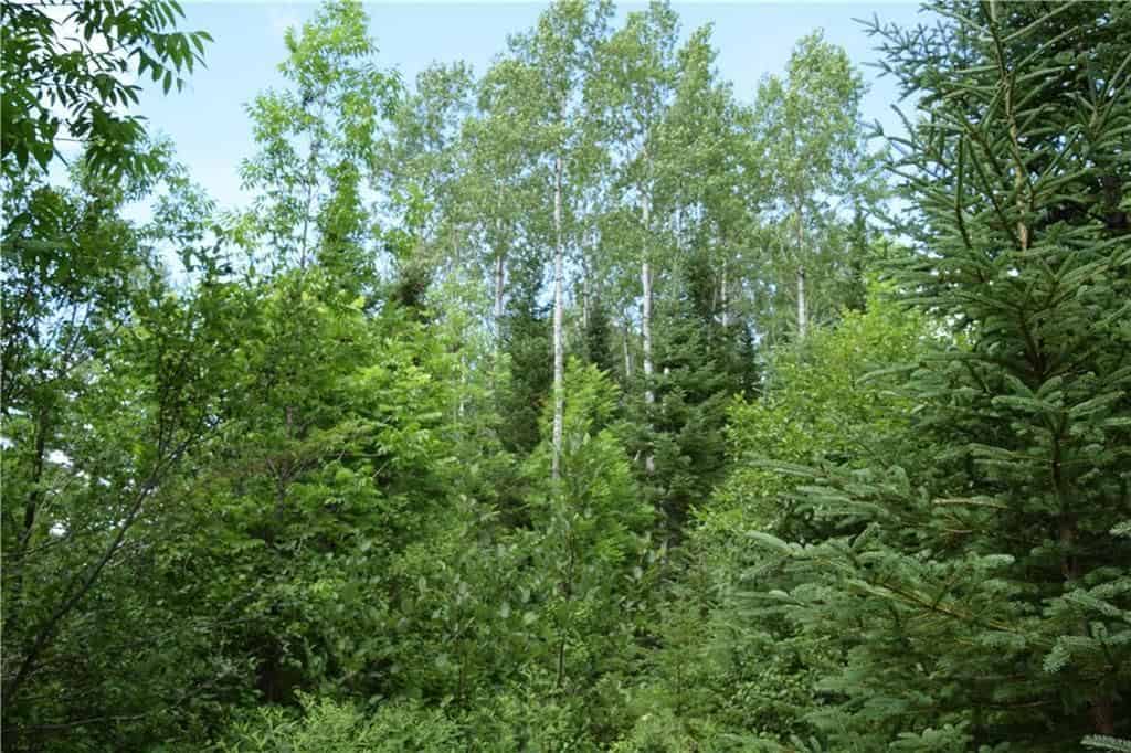 Hunting Land For Sale in Maine Hunting Properties for sale in Maine