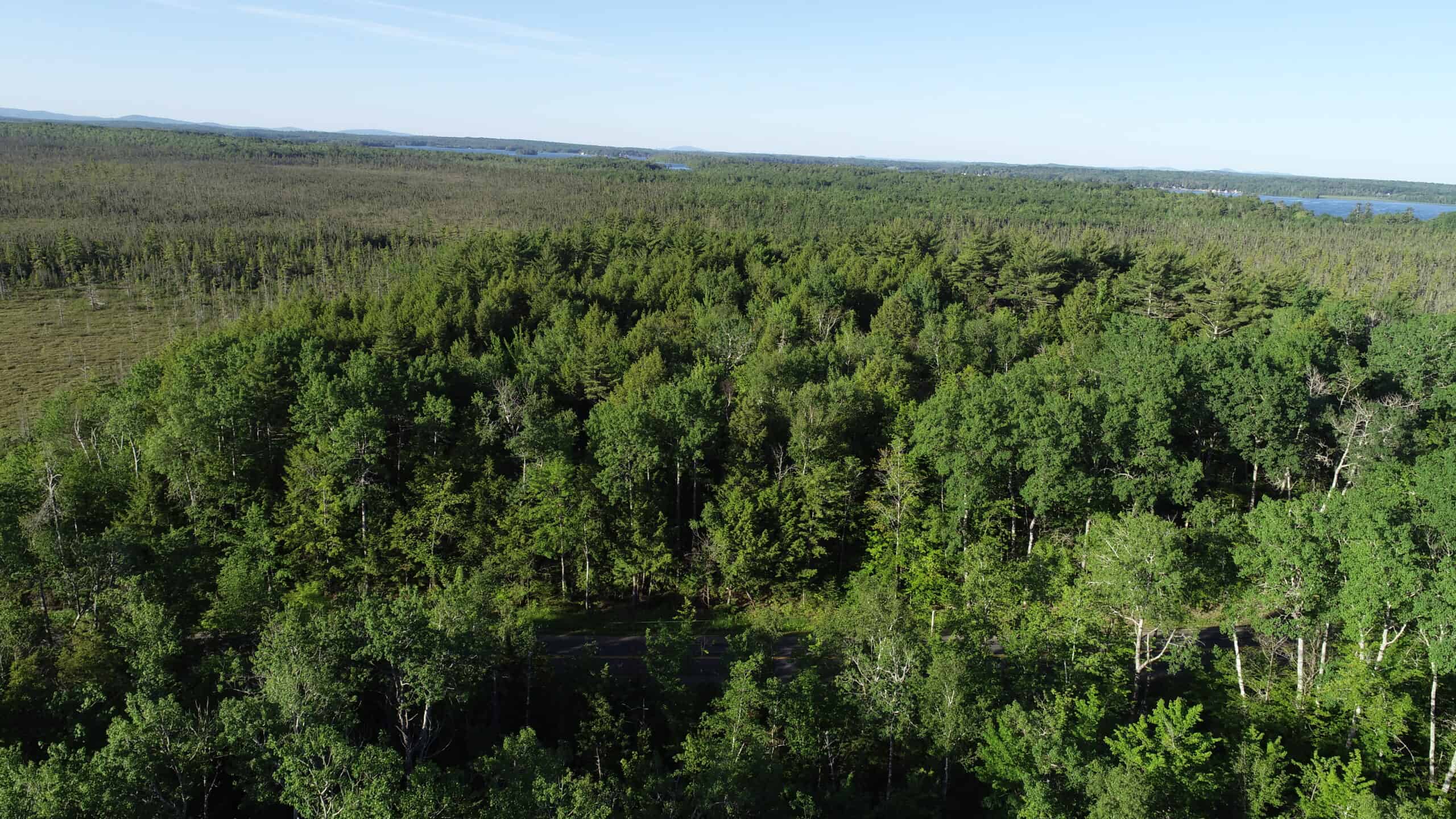 Hunting Land For Sale in Maine Hunting Properties for sale in Maine