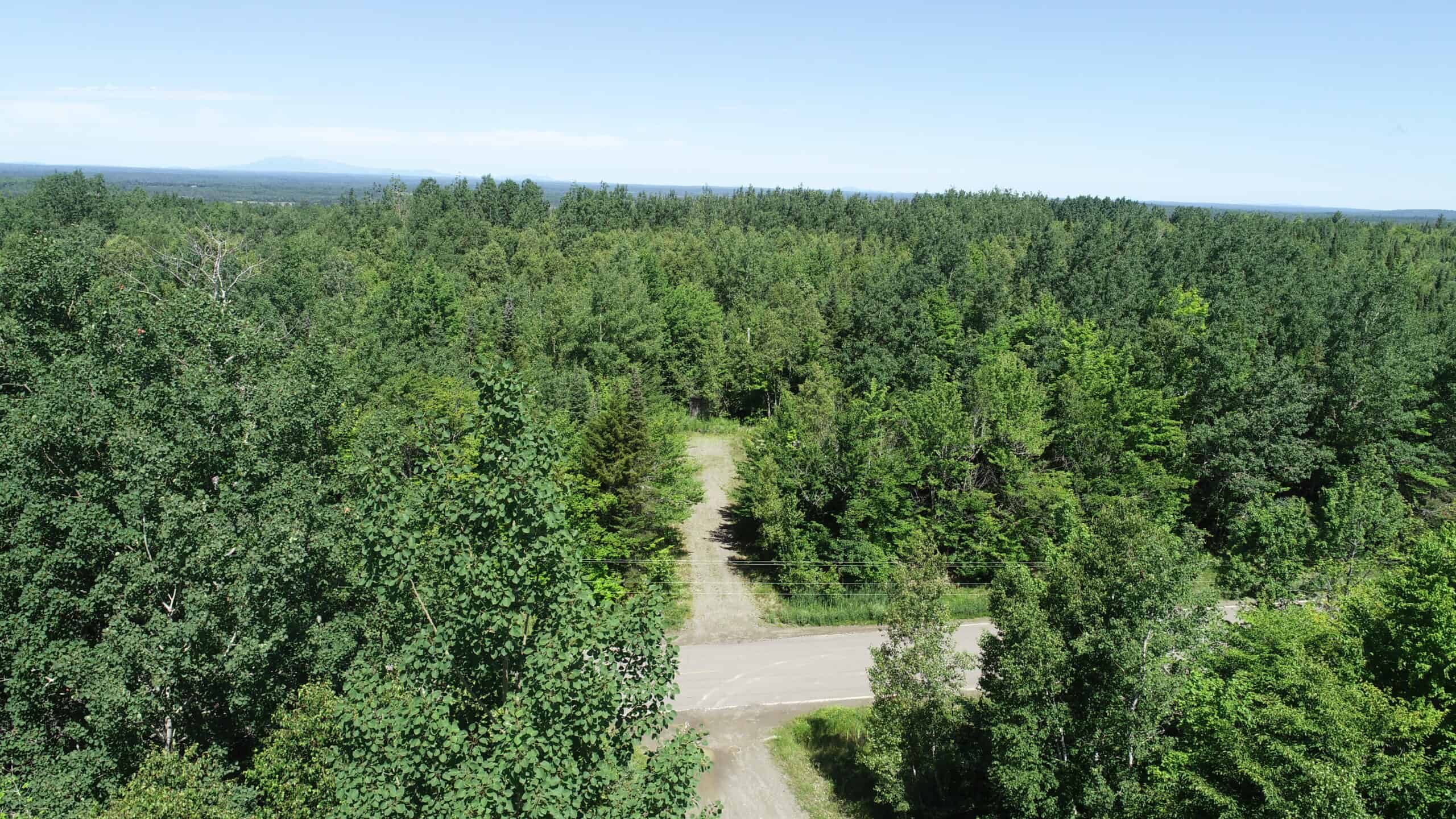 Hunting Land For Sale in Maine Hunting Properties for sale in Maine