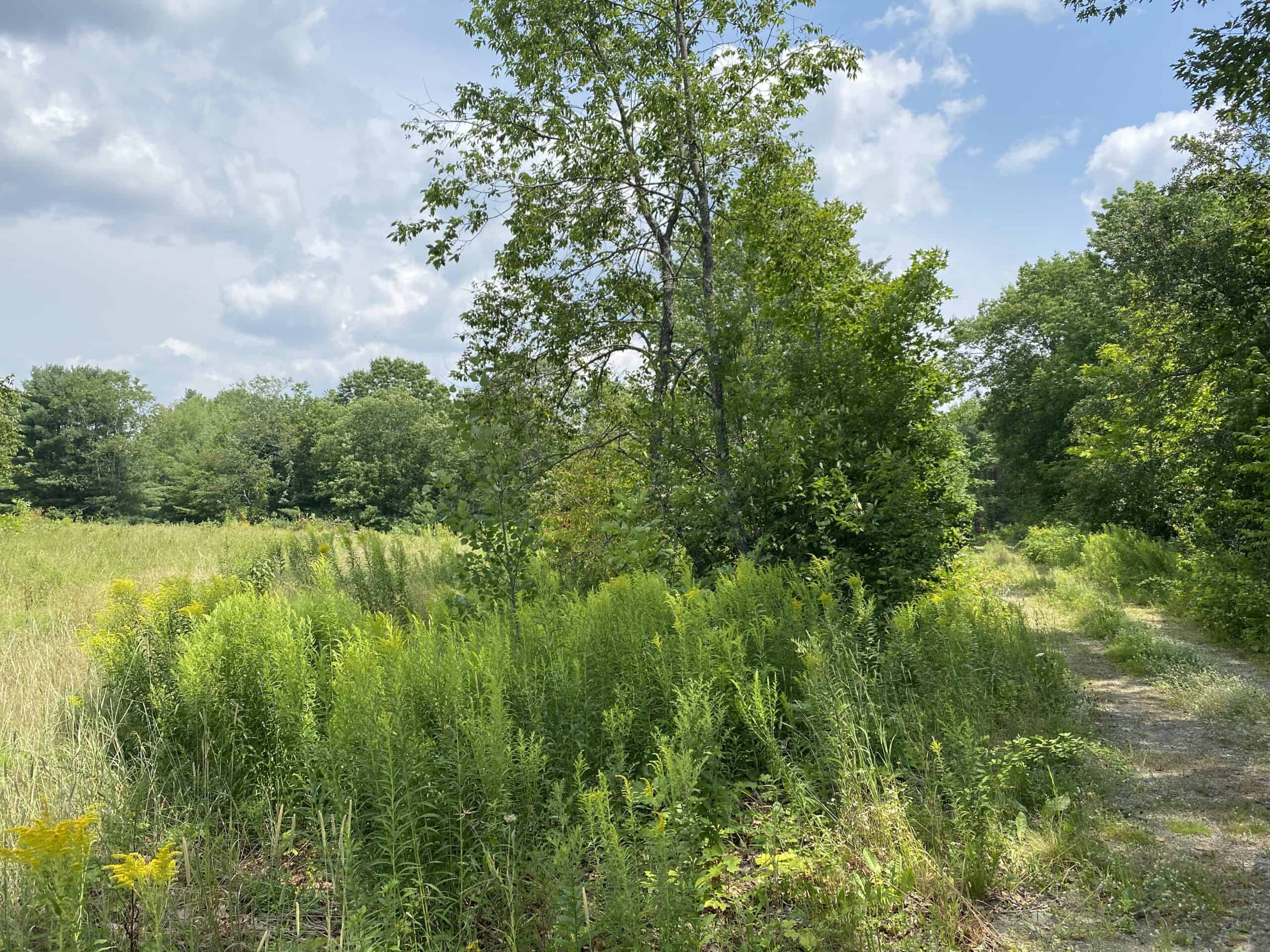 Hunting Land For Sale in Maine Hunting Properties for sale in Maine