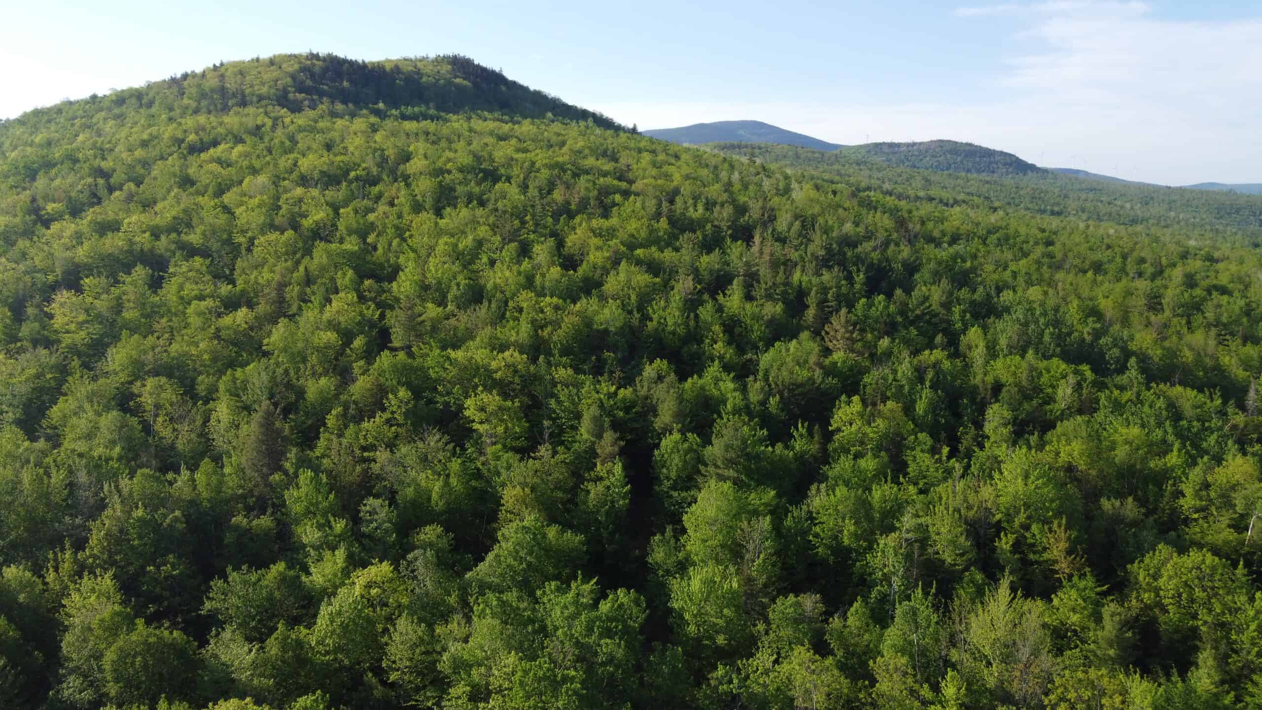 Large Acreage For Sale In Maine