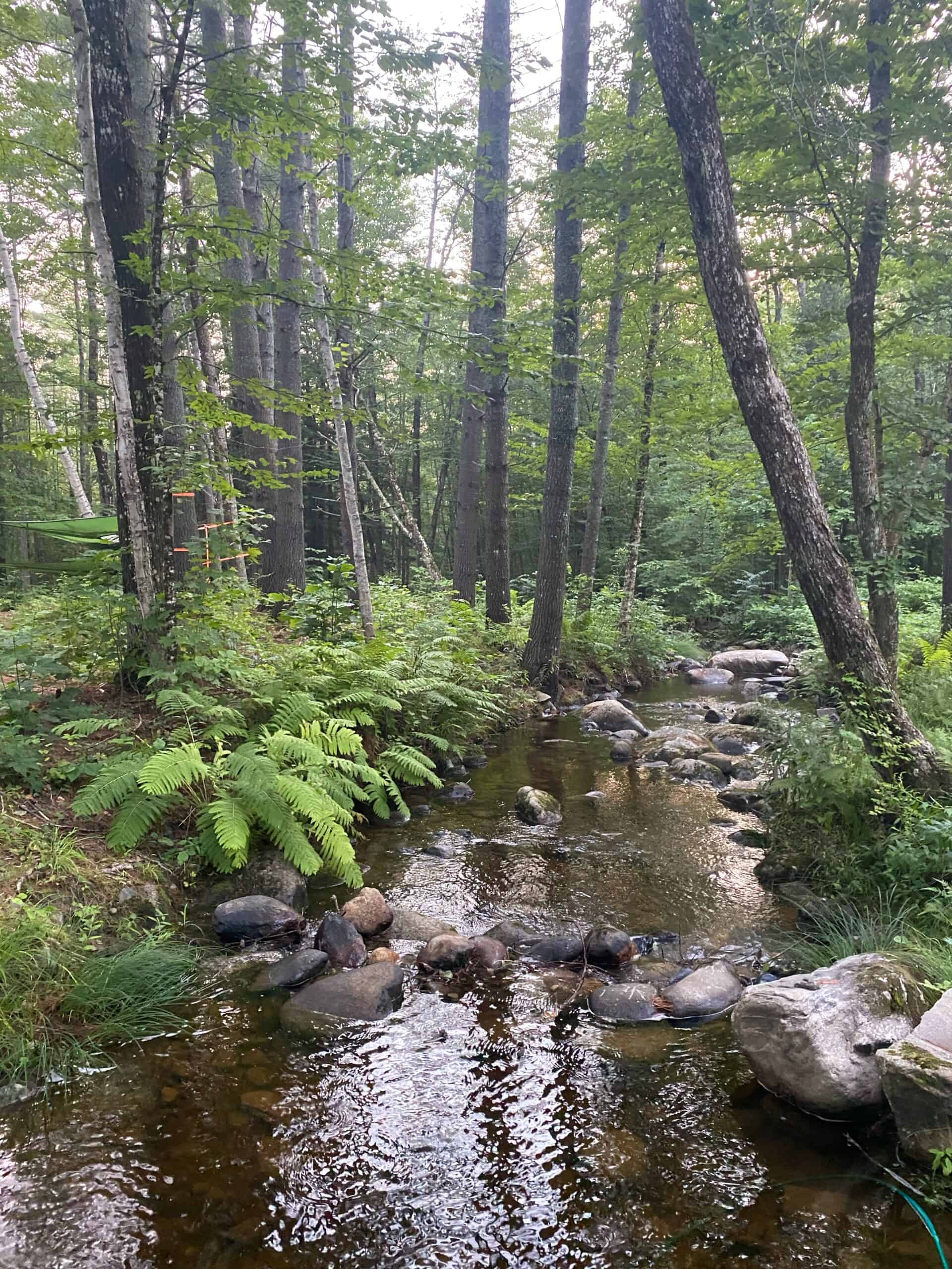 Hunting Land For Sale in Maine Hunting Properties for sale in Maine