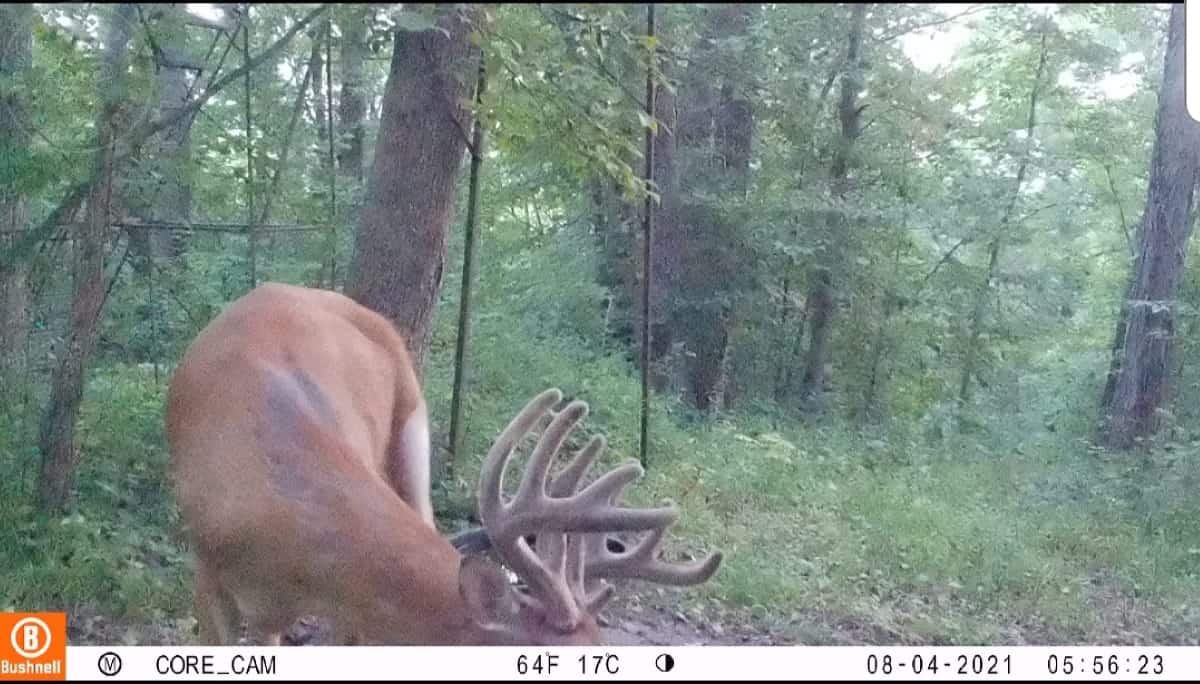 Hunting Land for Sale in Crawford County, Wisconsin