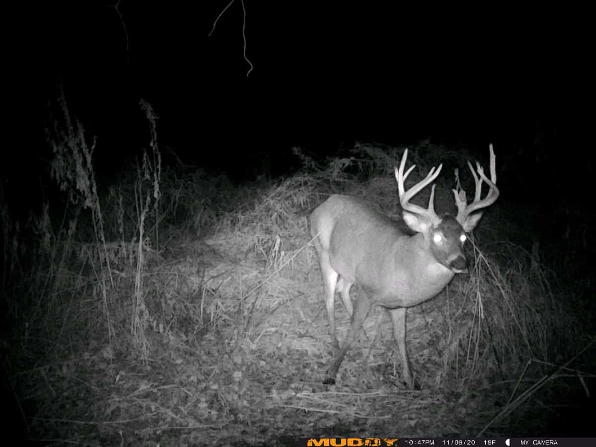 Hunting Land For Sale in Wisconsin Hunting Properties for sale in