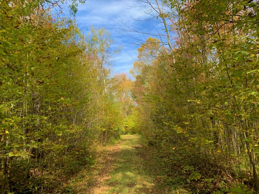 Remote hunting parcel with two cabins and storage sheds
