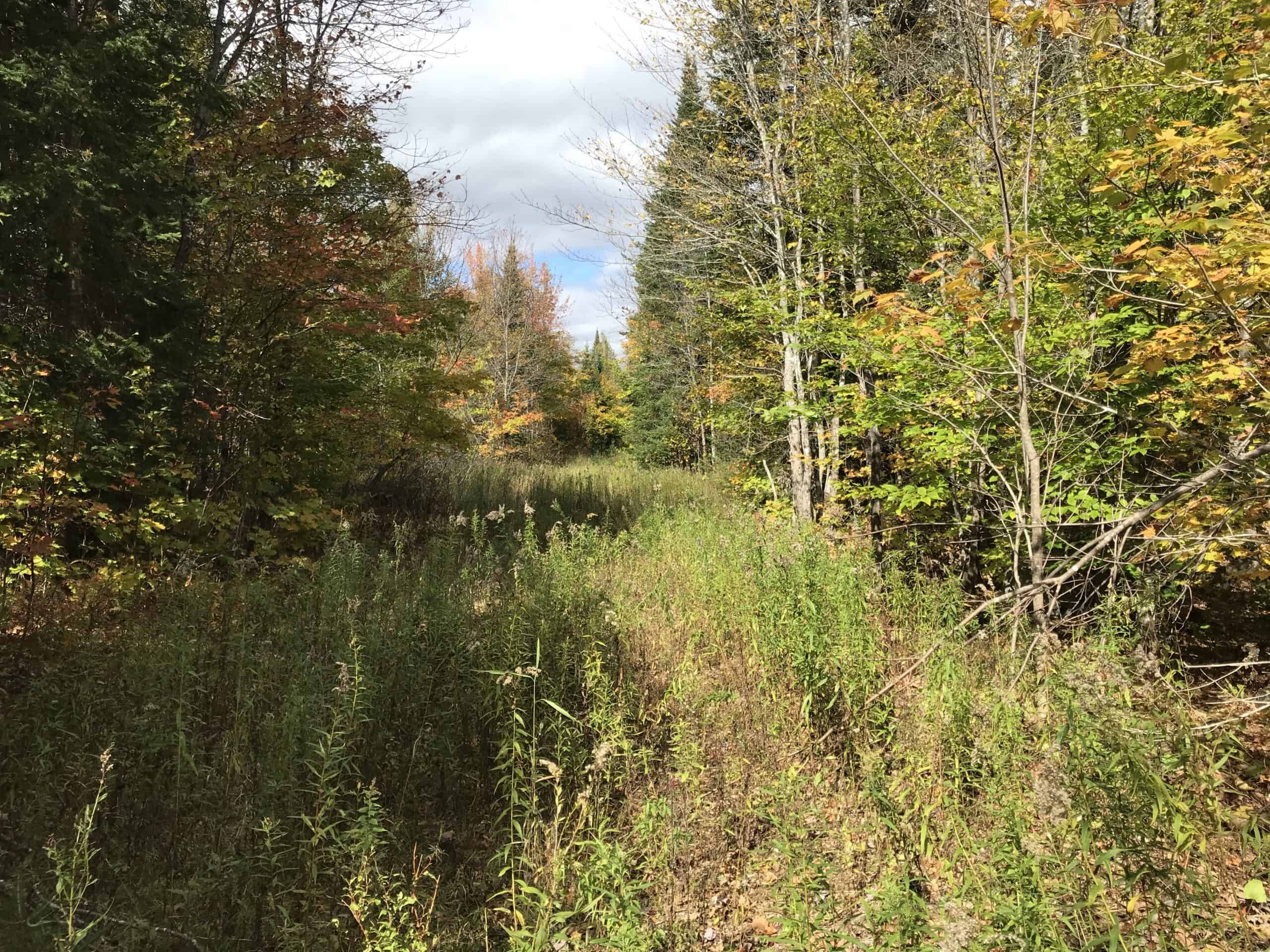 Hunting Land For Sale in Maine Hunting Properties for sale in Maine