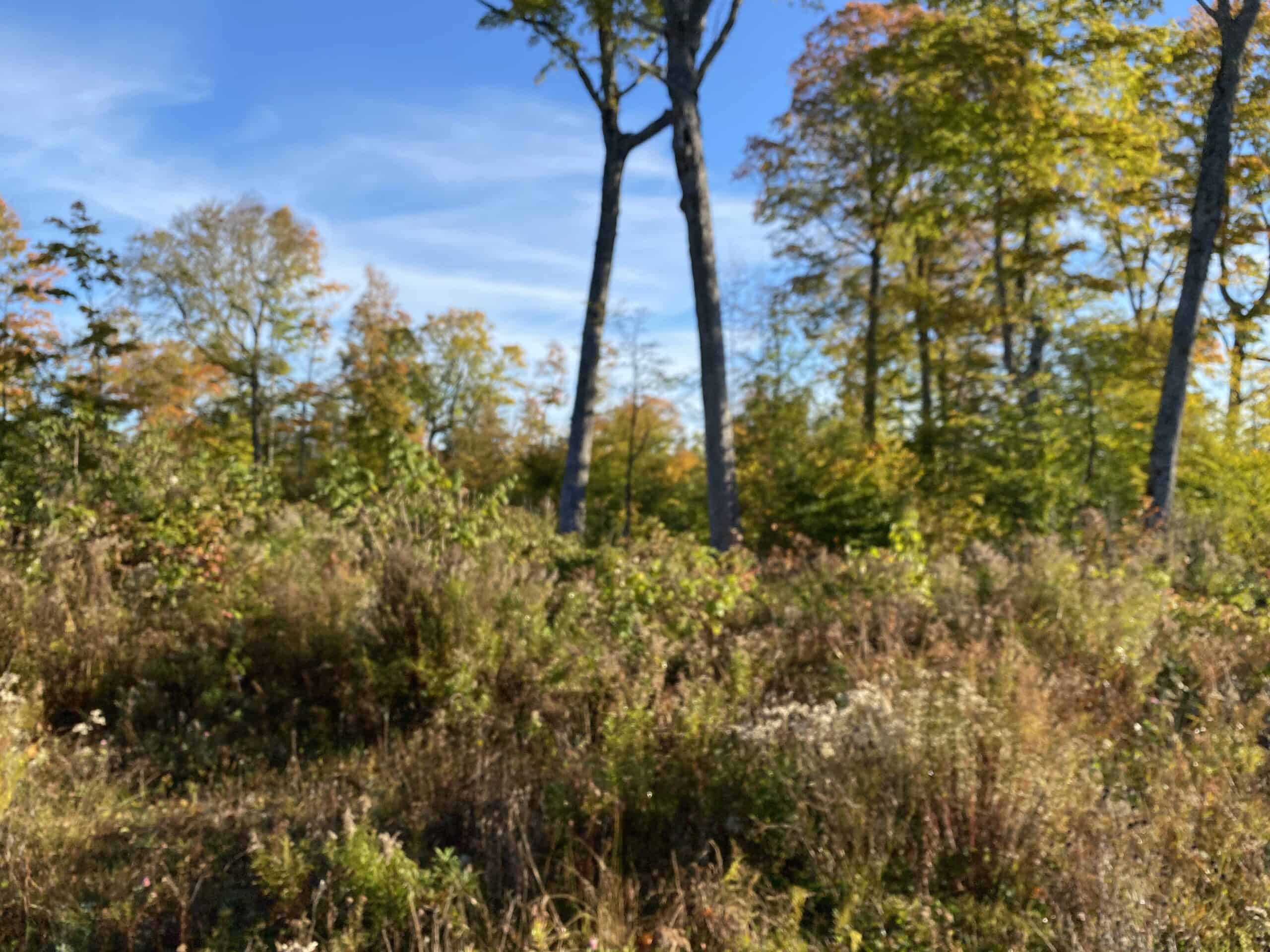 Hunting Land For Sale in Maine Hunting Properties for sale in Maine