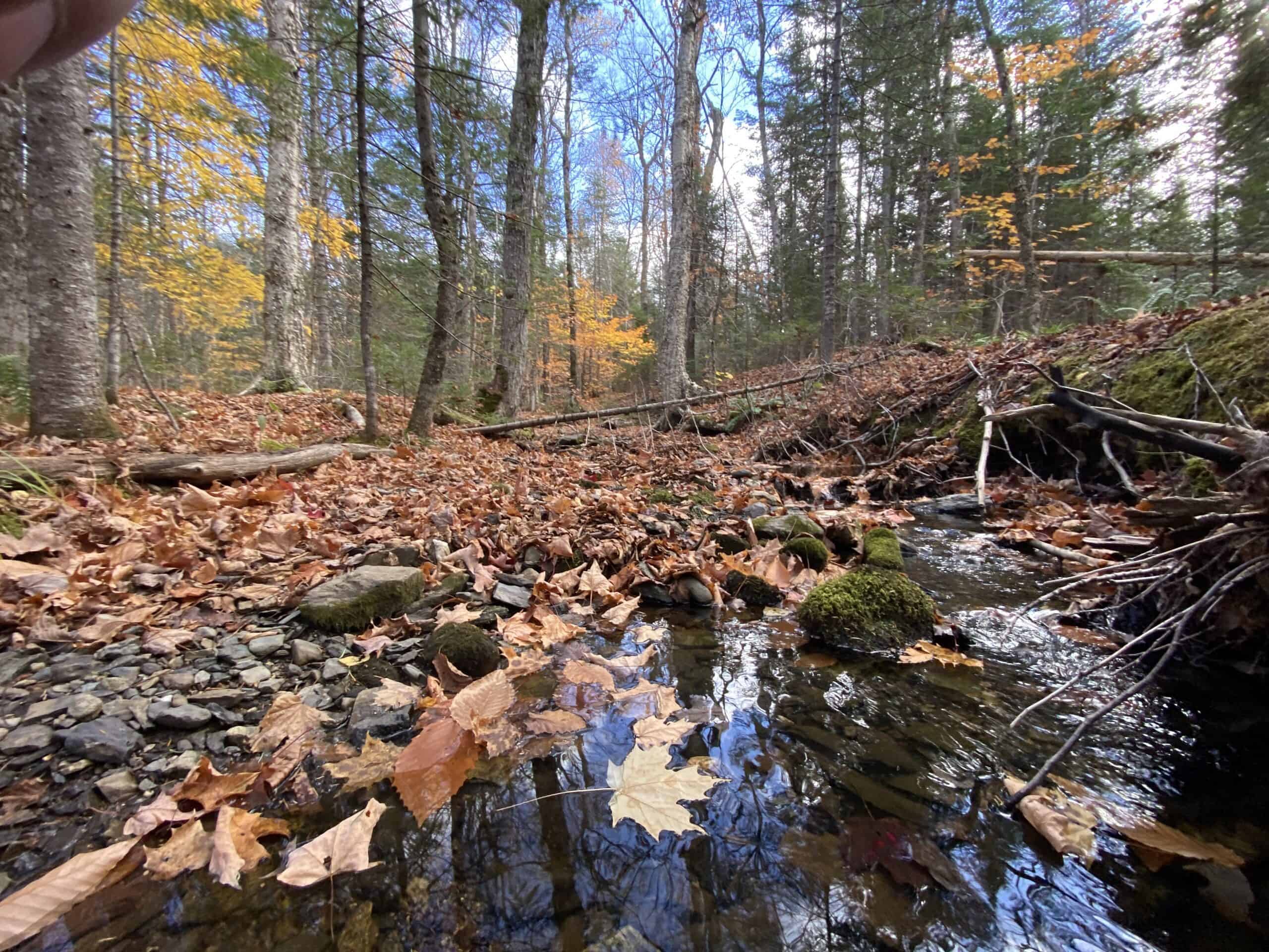 Hunting Land For Sale in Maine Hunting Properties for sale in Maine