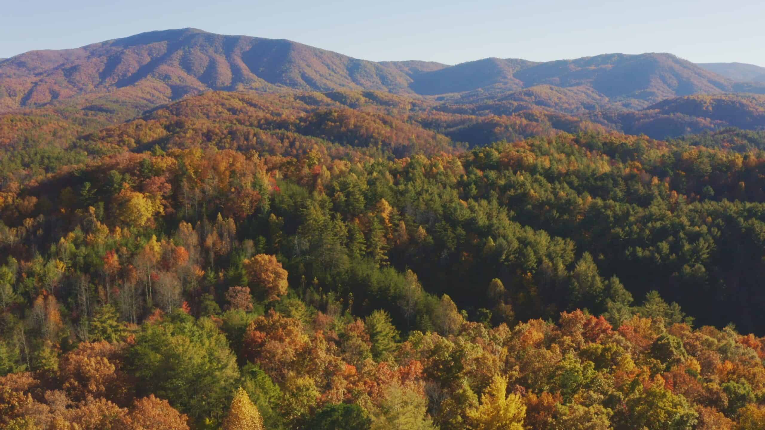 East Tennessee Land Adjoining Cherokee National Forest