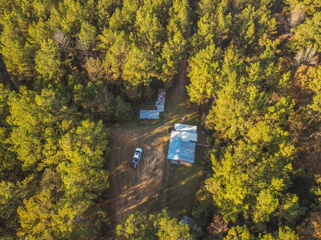 40 Acres Land for Sale Surrounded by National Forest SW MS