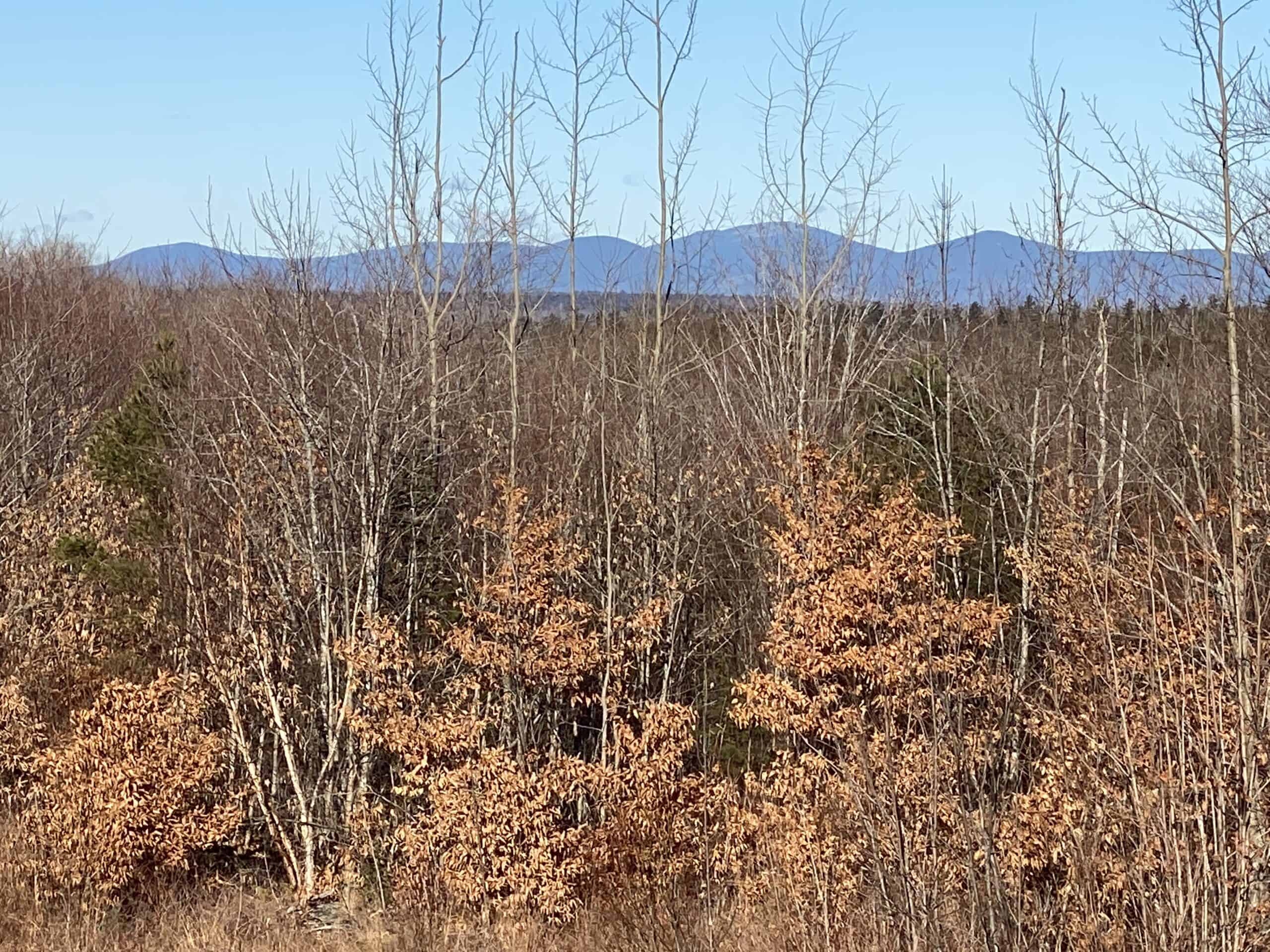 Hunting Land For Sale in Maine Hunting Properties for sale in Maine