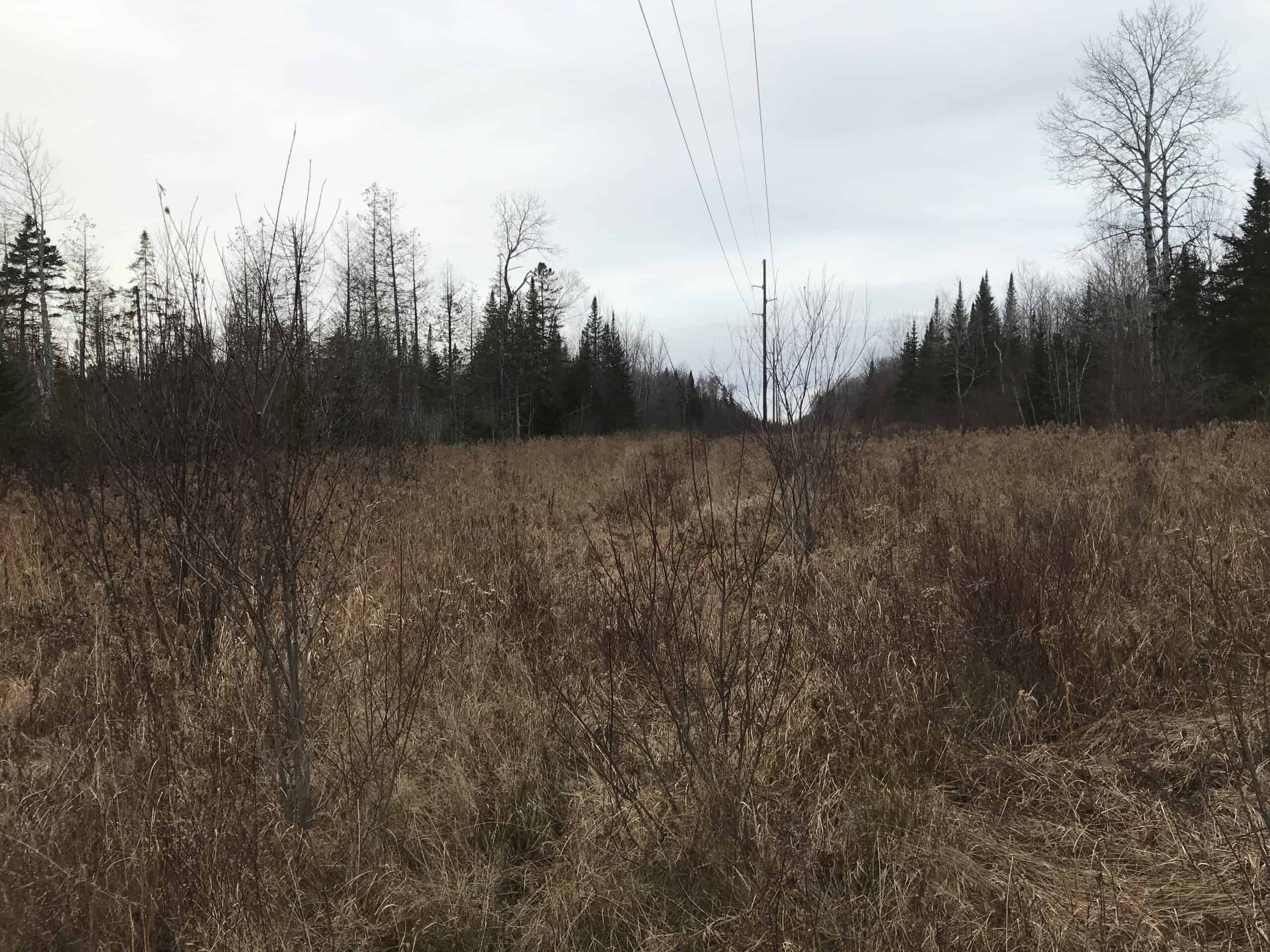 Hunting Land For Sale in Maine Hunting Properties for sale in Maine