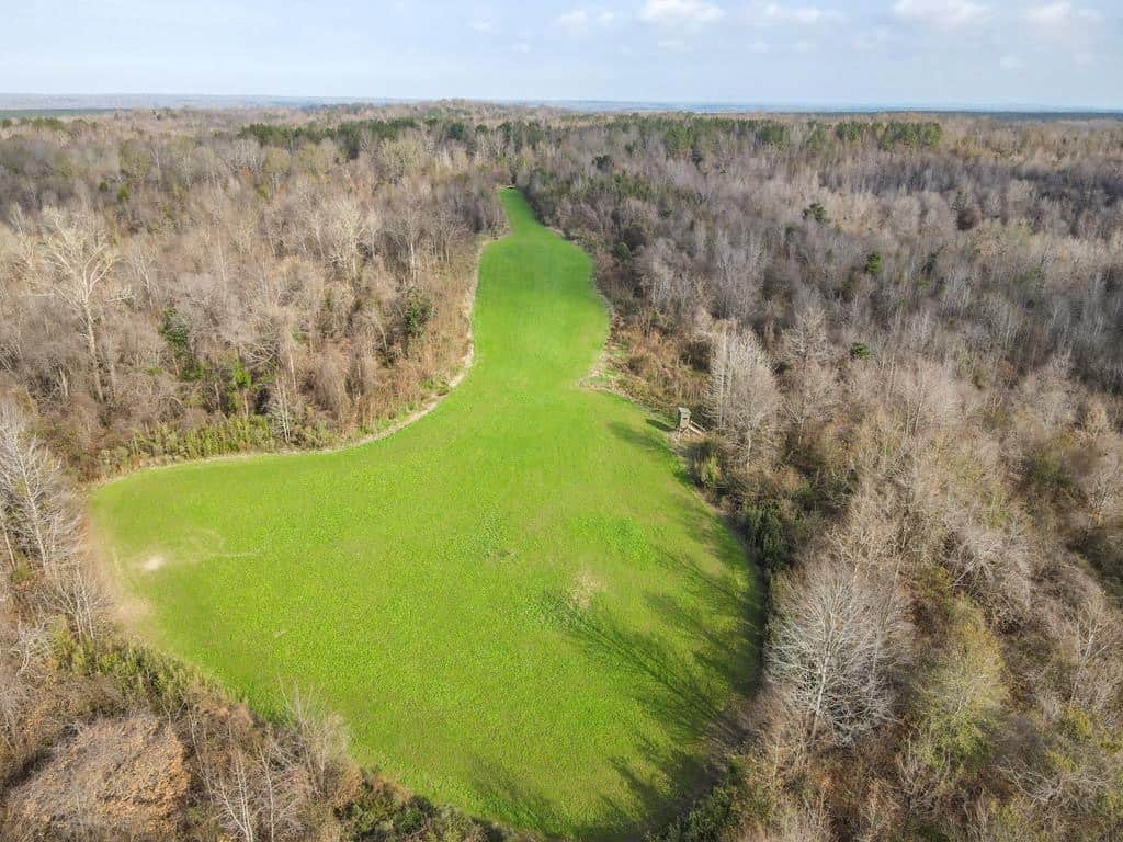 Hunting Land For Sale in Mississippi Hunting Properties for sale in