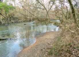 Recreational/Timberland Tangipahoa River Front SW MS