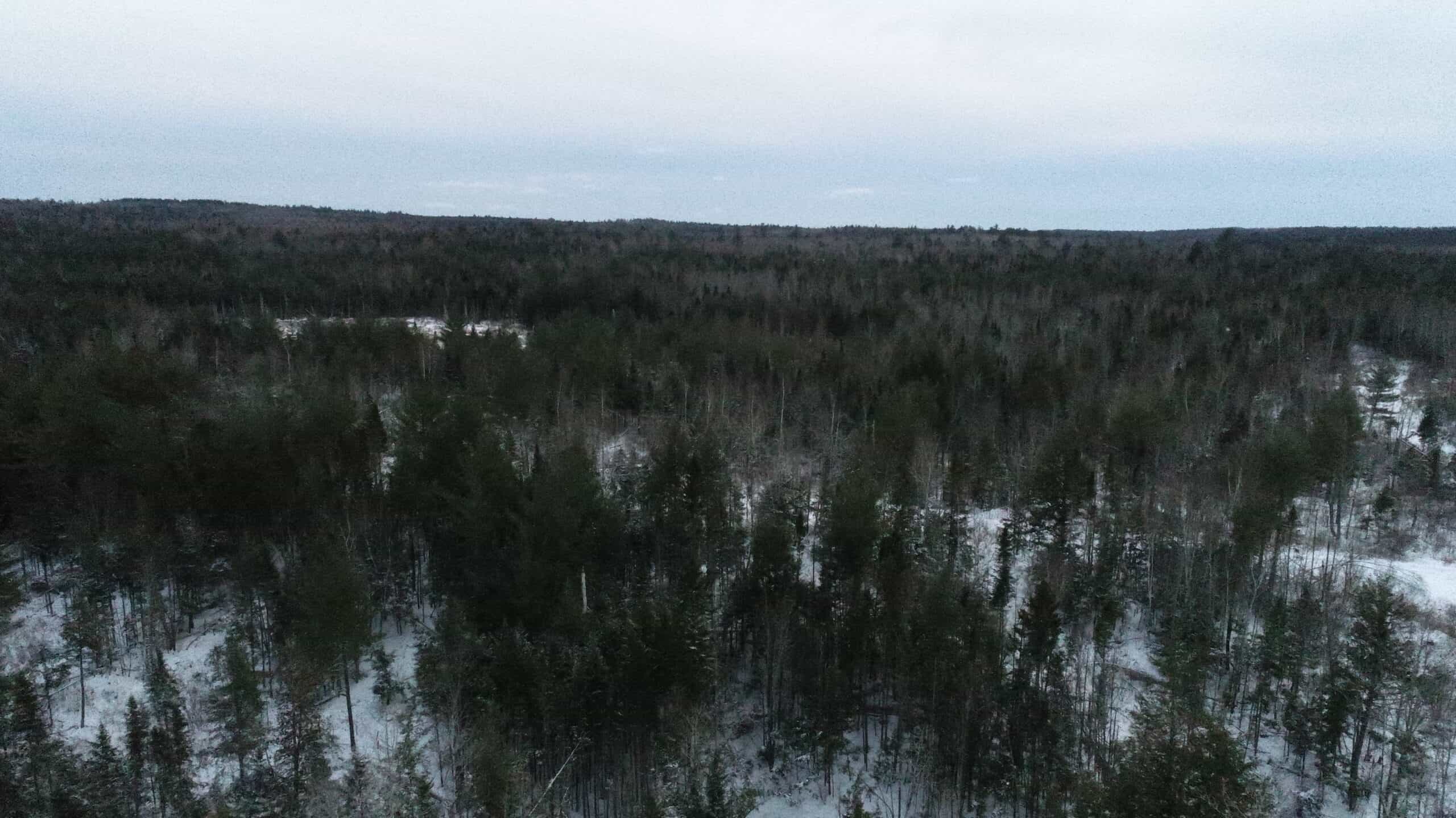 Hunting Land For Sale in Maine Hunting Properties for sale in Maine