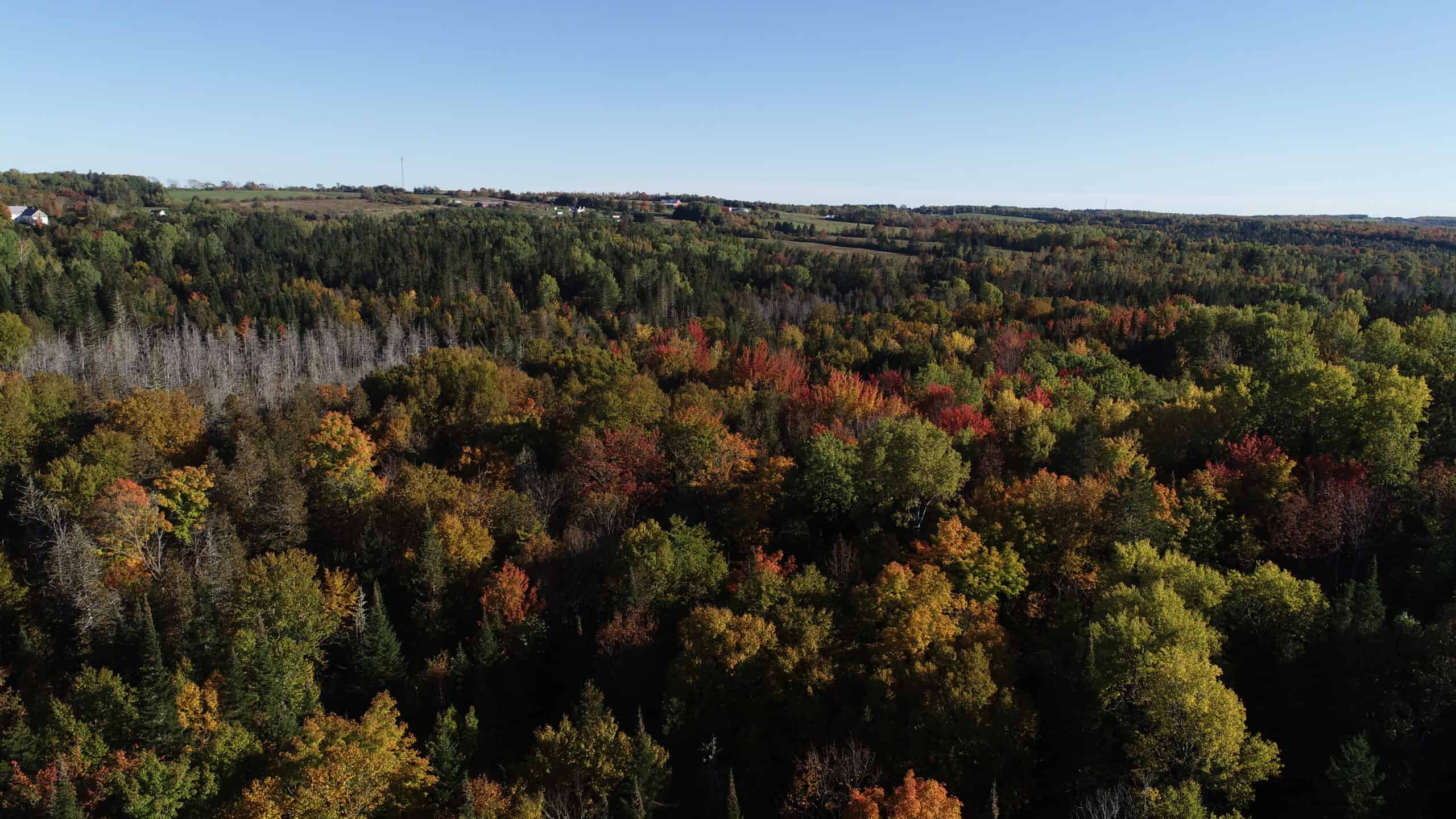 Hunting Land For Sale in Maine Hunting Properties for sale in Maine