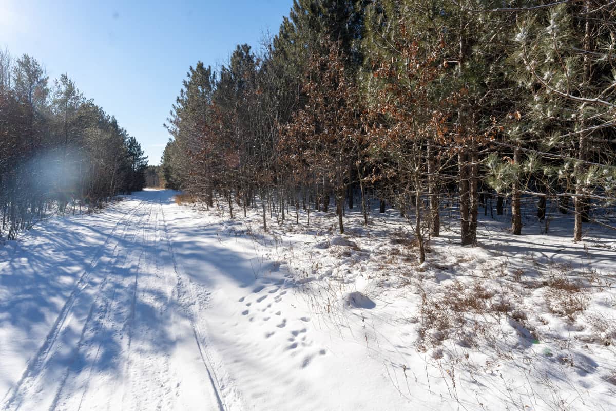Juneau Hunting Land UC Hunting Properties
