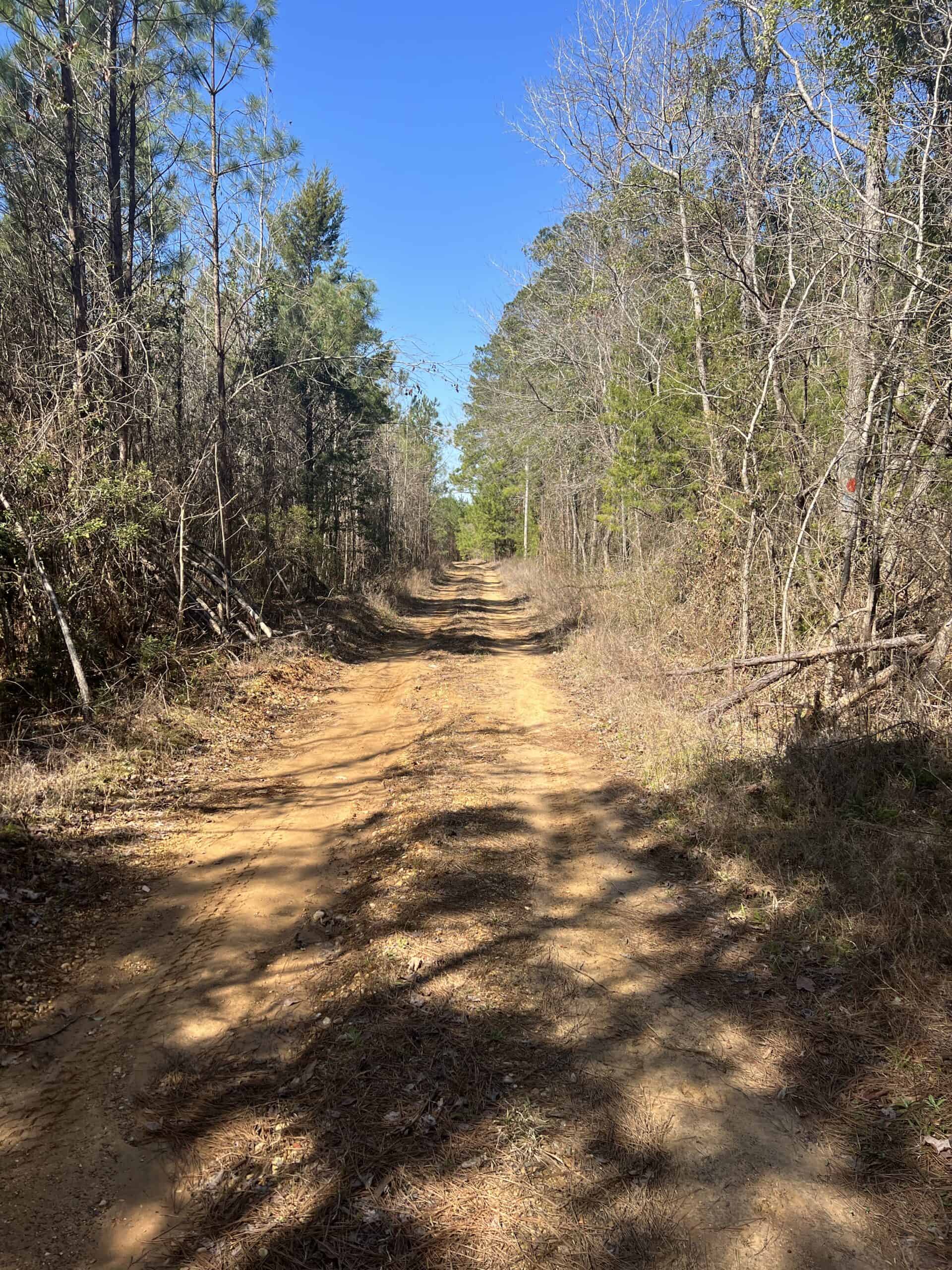 Timberland Tract in South Arkansas
