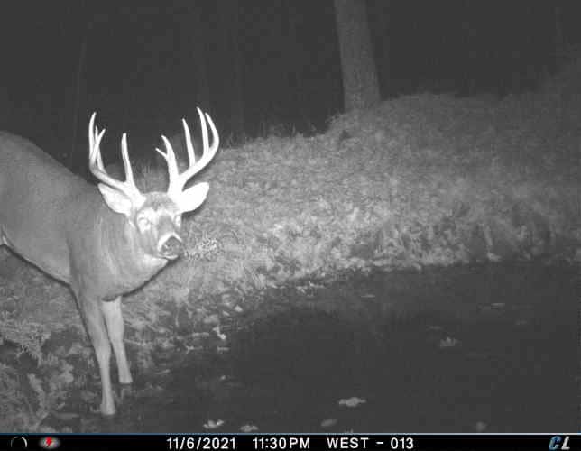 Land For Sale in Wisconsin Hunting Land For Sale in Wisconsin