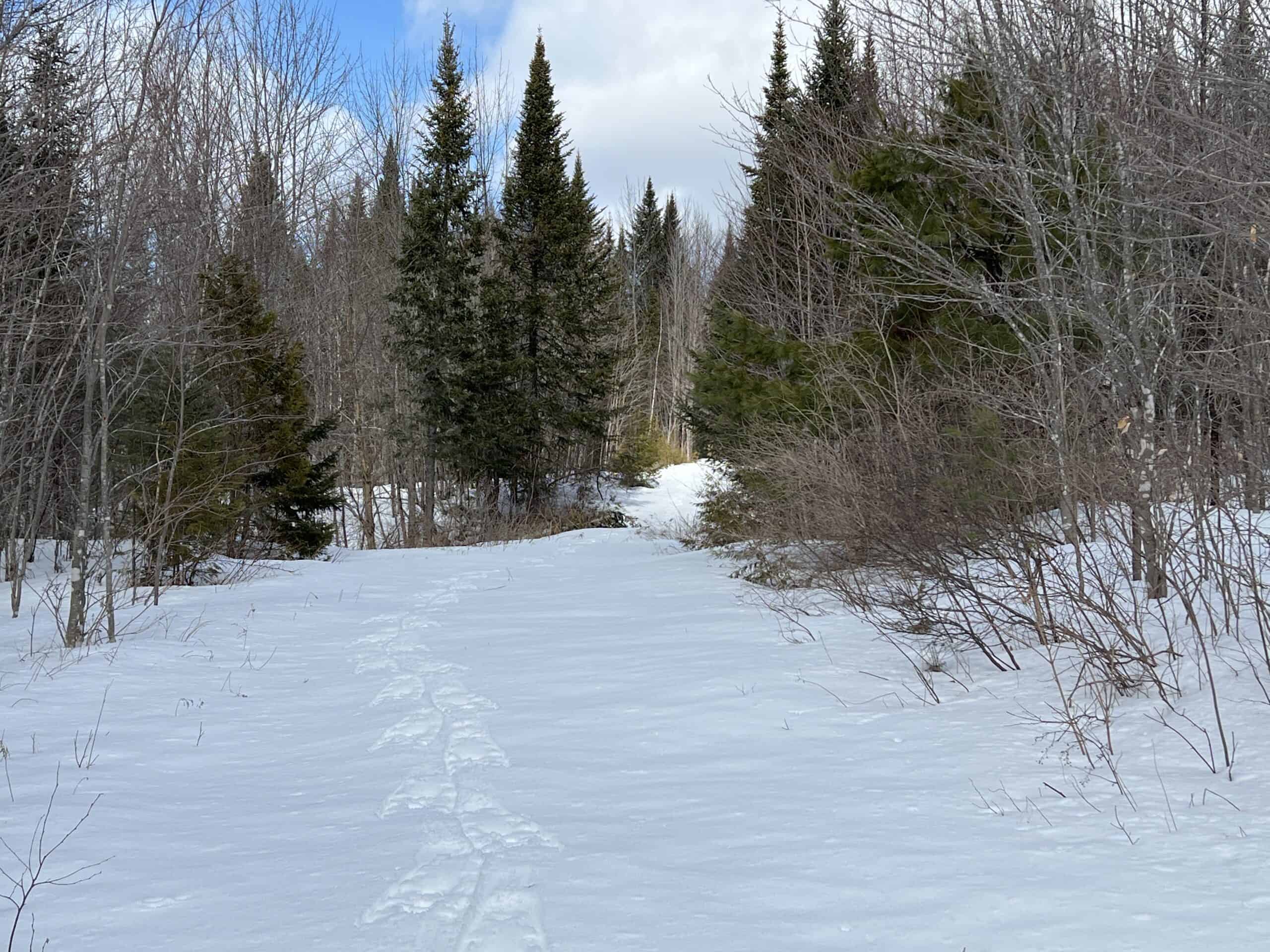 Hunting Land For Sale in Maine Hunting Properties for sale in Maine