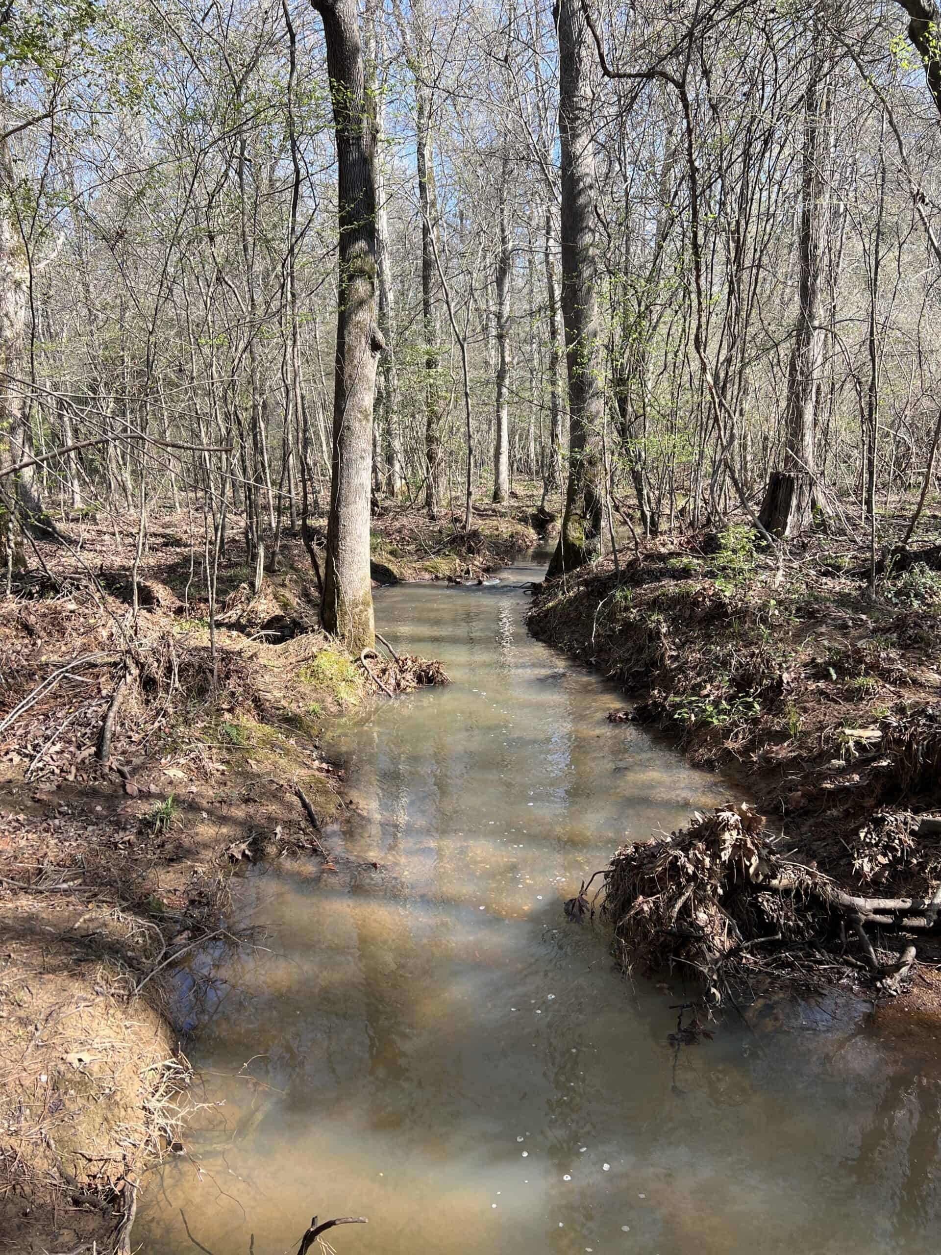 Hunting Land in Cleveland County Arkansas