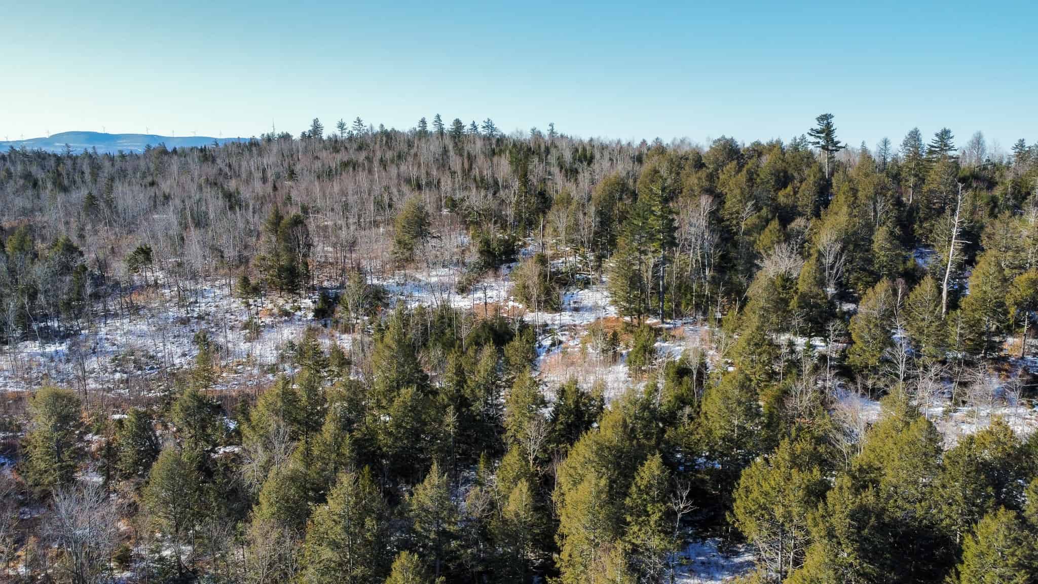 Hunting Land For Sale in Maine Hunting Properties for sale in Maine