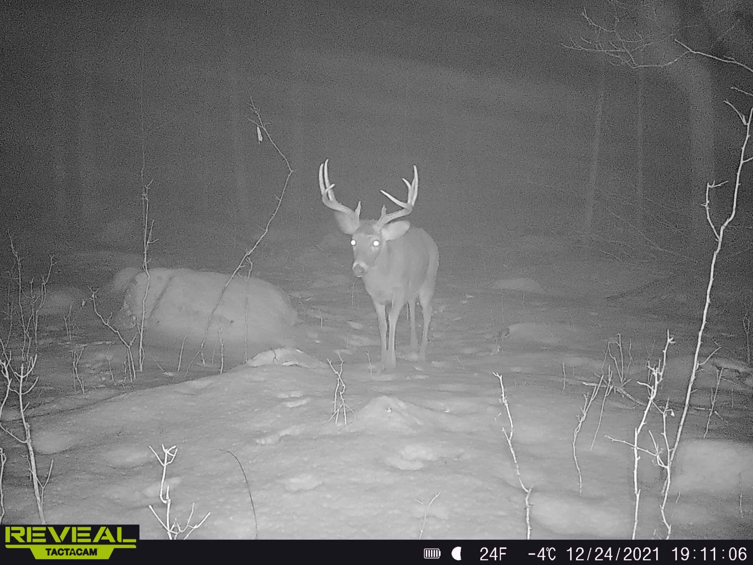 Shawano Hunting Land UC Hunting Properties