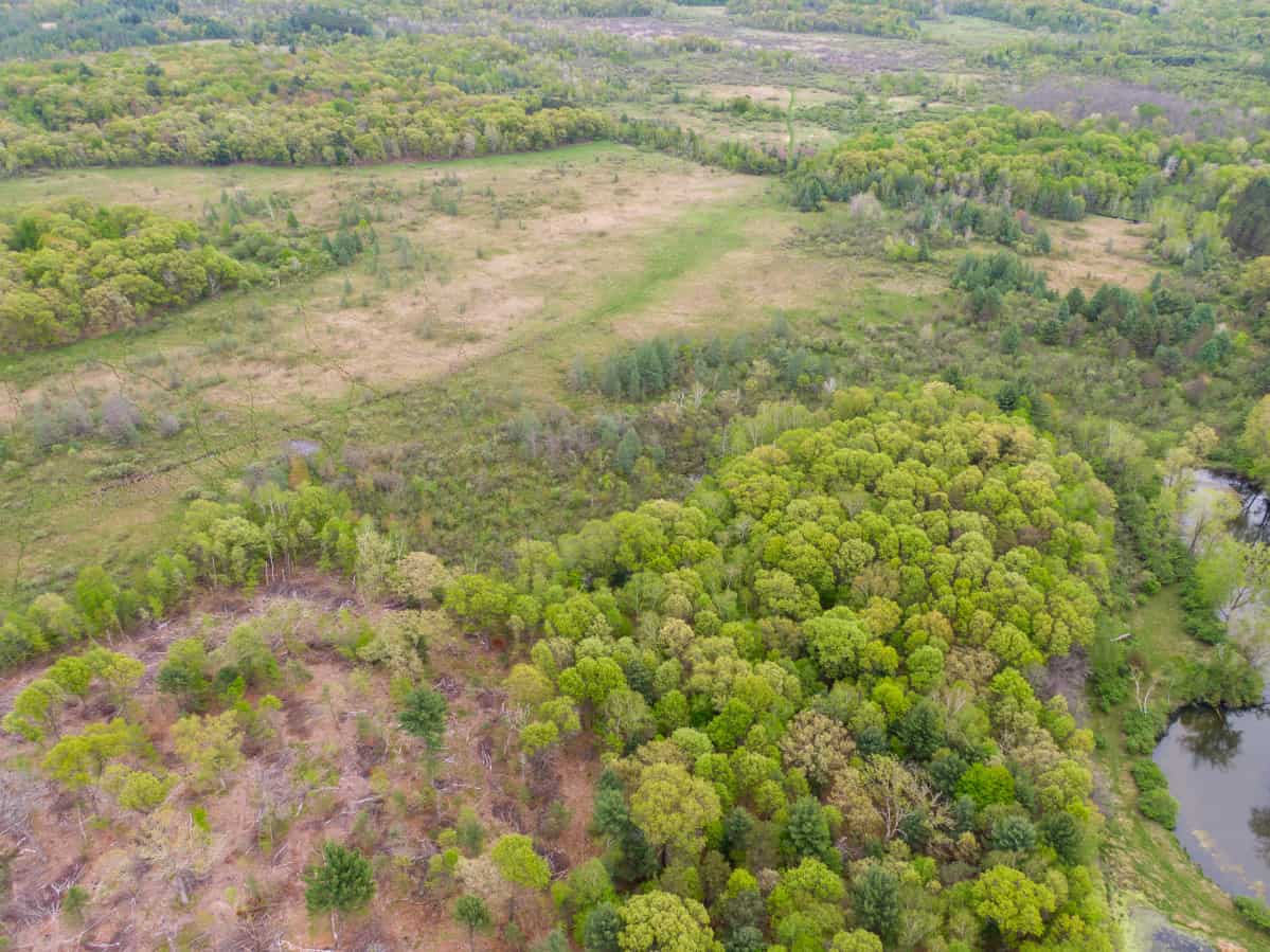 Land For Sale in Wisconsin Hunting Land For Sale in Wisconsin