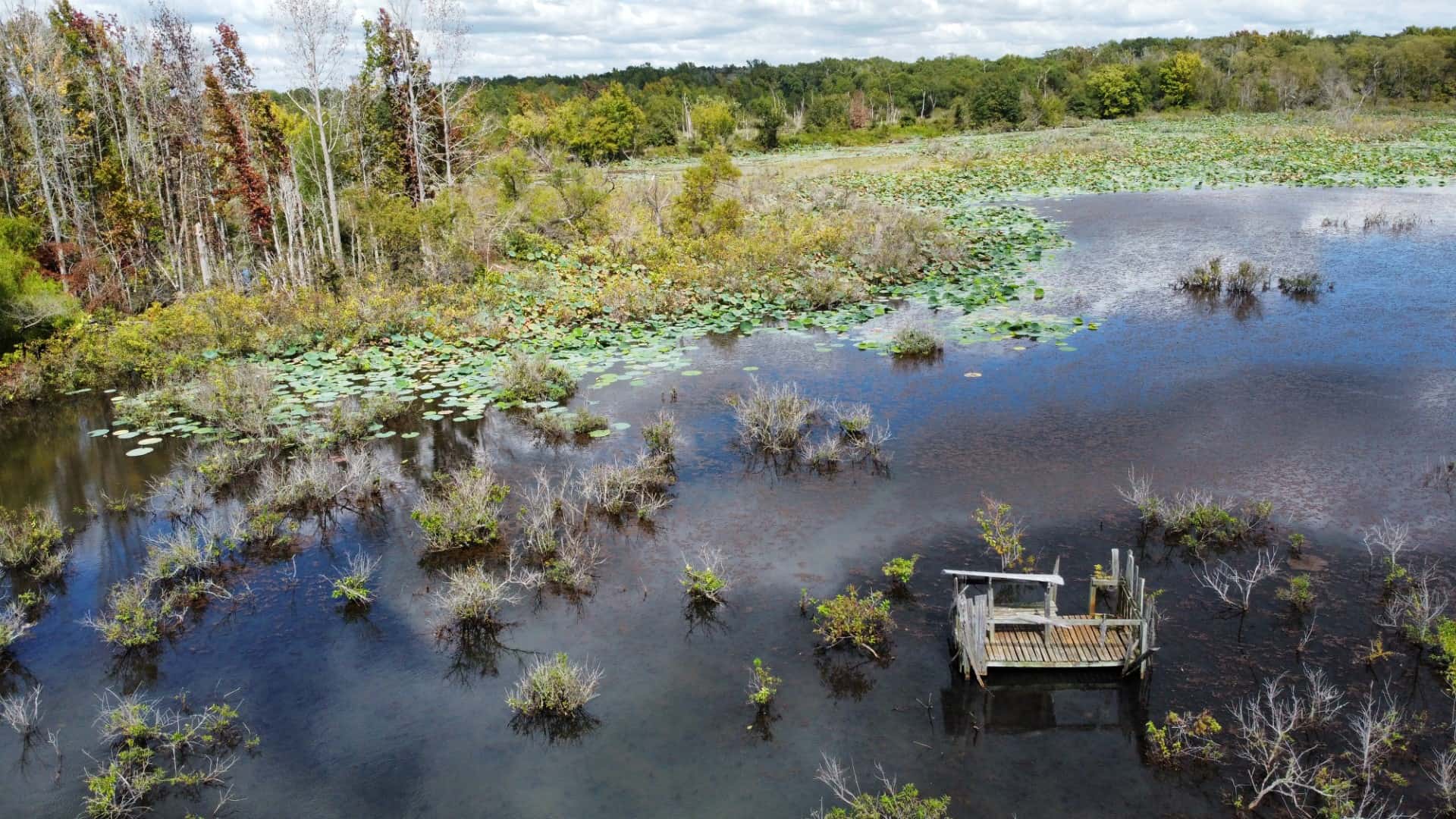 Texas Hunting Land UC Hunting Properties