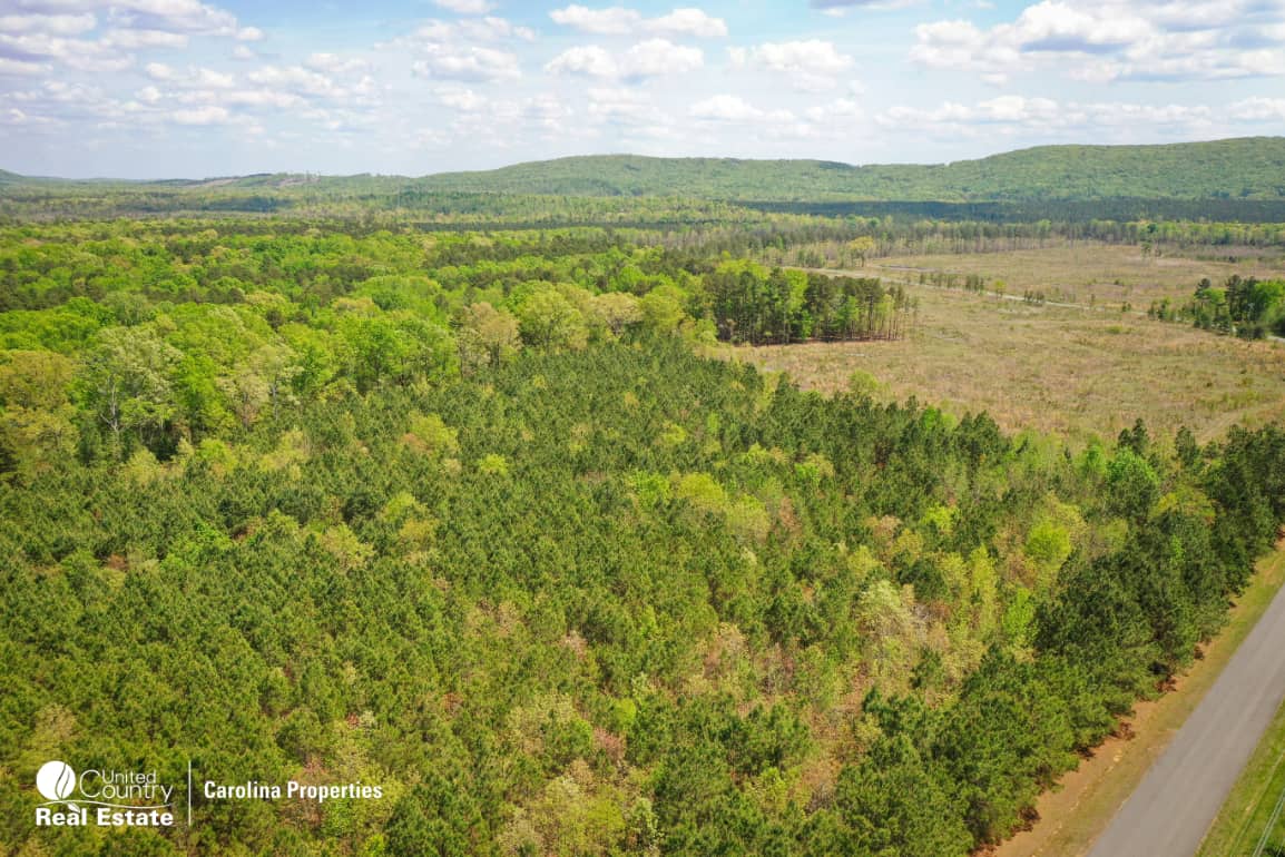 Large Land and Timber Tract on High Rock Lake