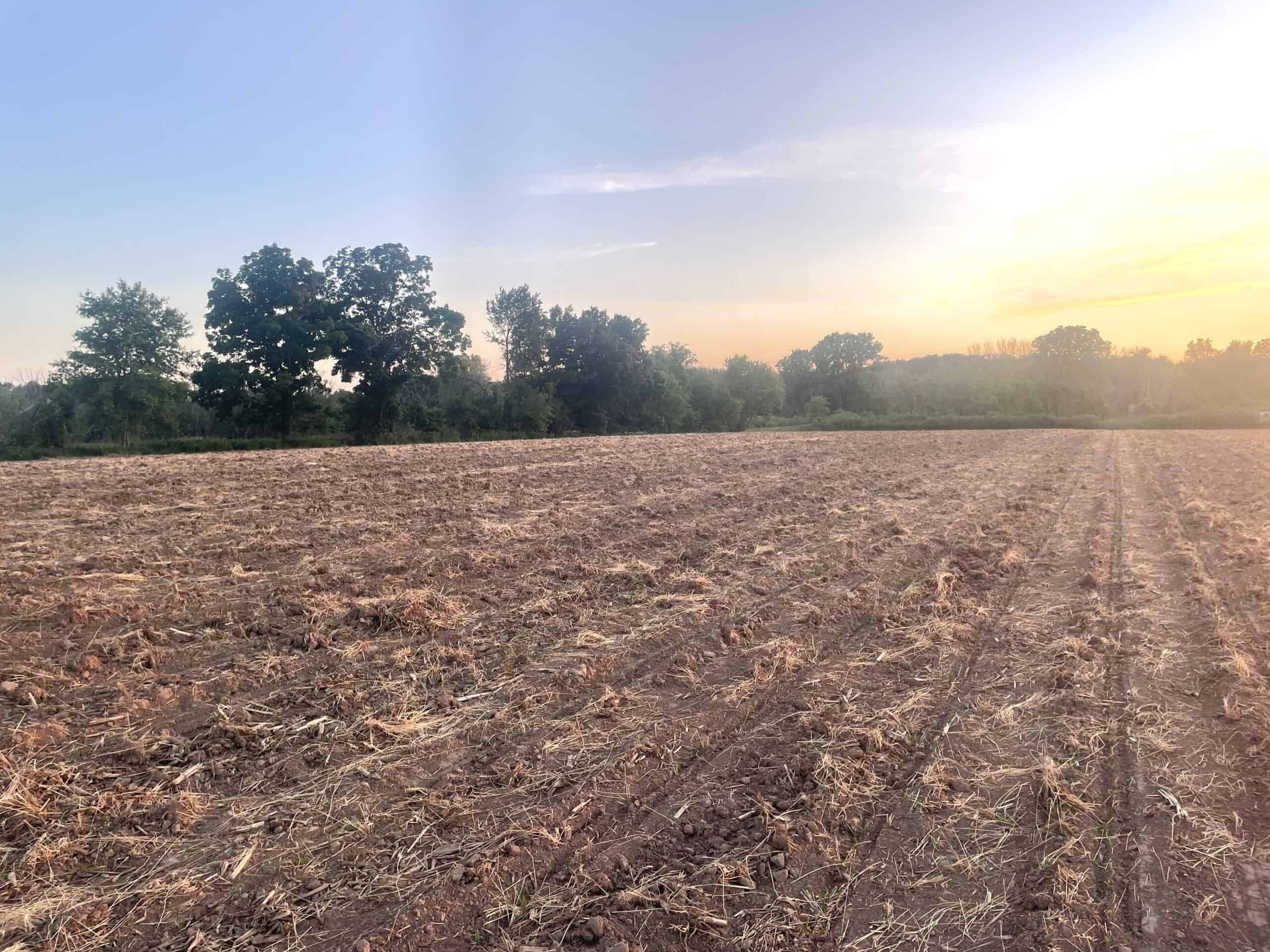 Land For Sale in Wisconsin Hunting Land For Sale in Wisconsin