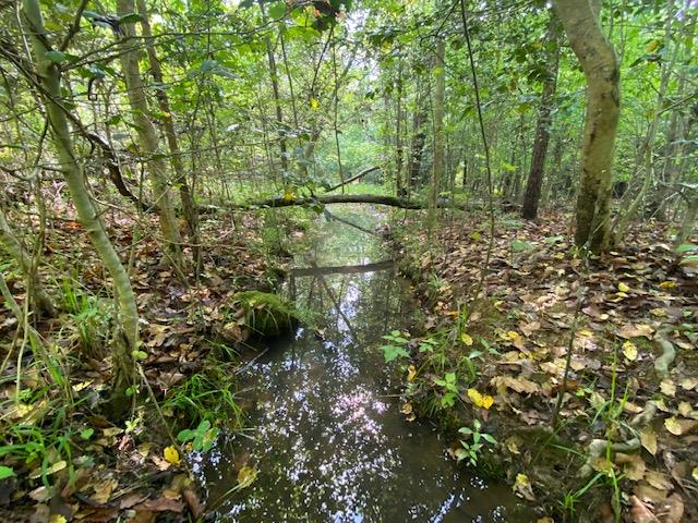 Sportsmen’s Dream on Ivy Hill Road!
