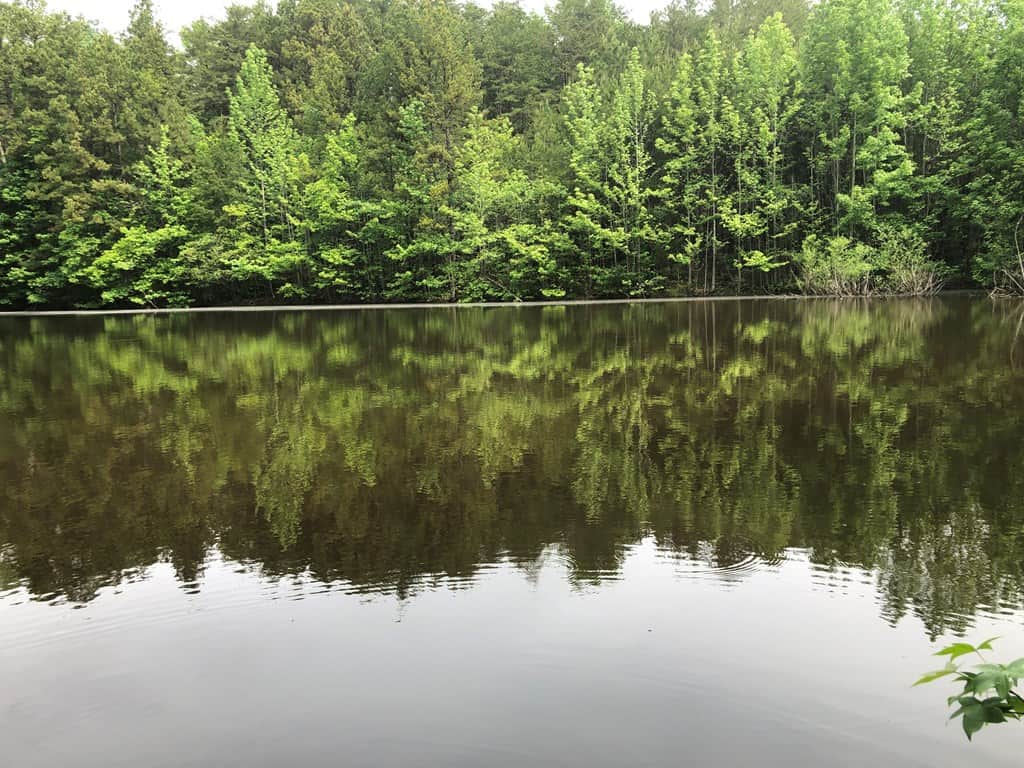 Ontario Oasis!!