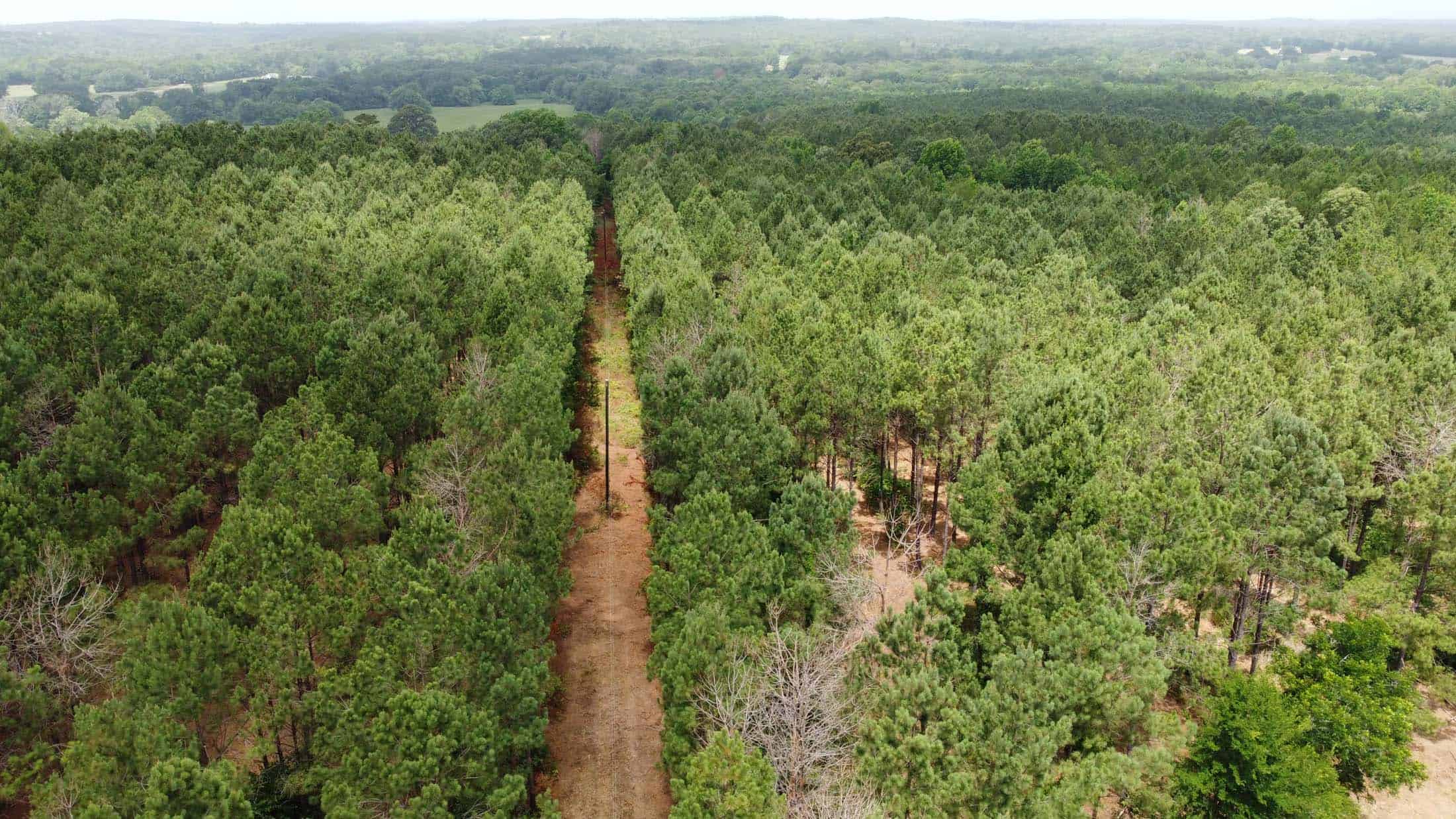 PENDING! TX Timber Hunting Land for Sale in Mt Enterprise Rusk County
