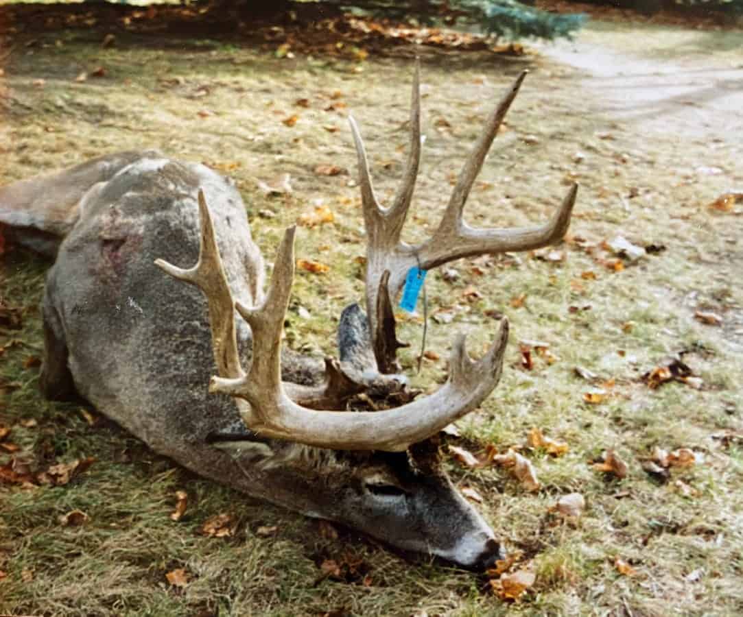 Land For Sale in Wisconsin Hunting Land For Sale in Wisconsin