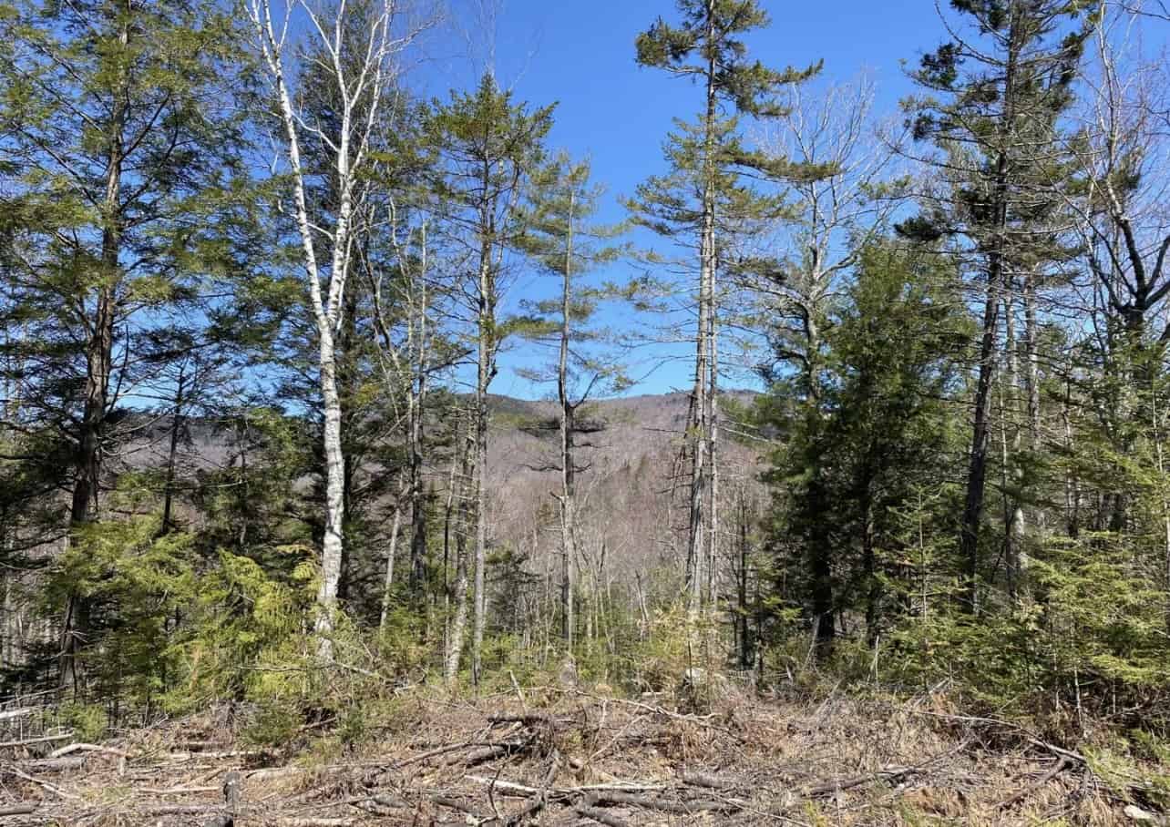 14± acres of recreational land for sale