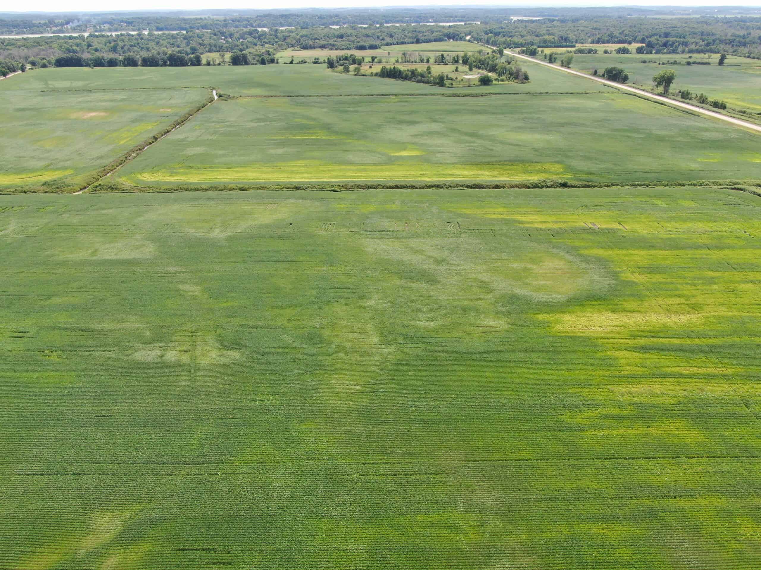 179+/- acres of Marquette County WI tillable land for sale