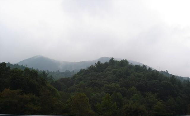 LARGE ACREAGE HUNTING AND RECREATIONAL TRACT IN BLAND VA